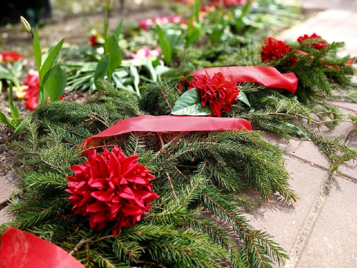 Можайск, Можайский городской округ, Подмосковье, День Победы, Александра Дрейман, партизан, партизанские отряды, Уваровка, добровольцы, 9 мая