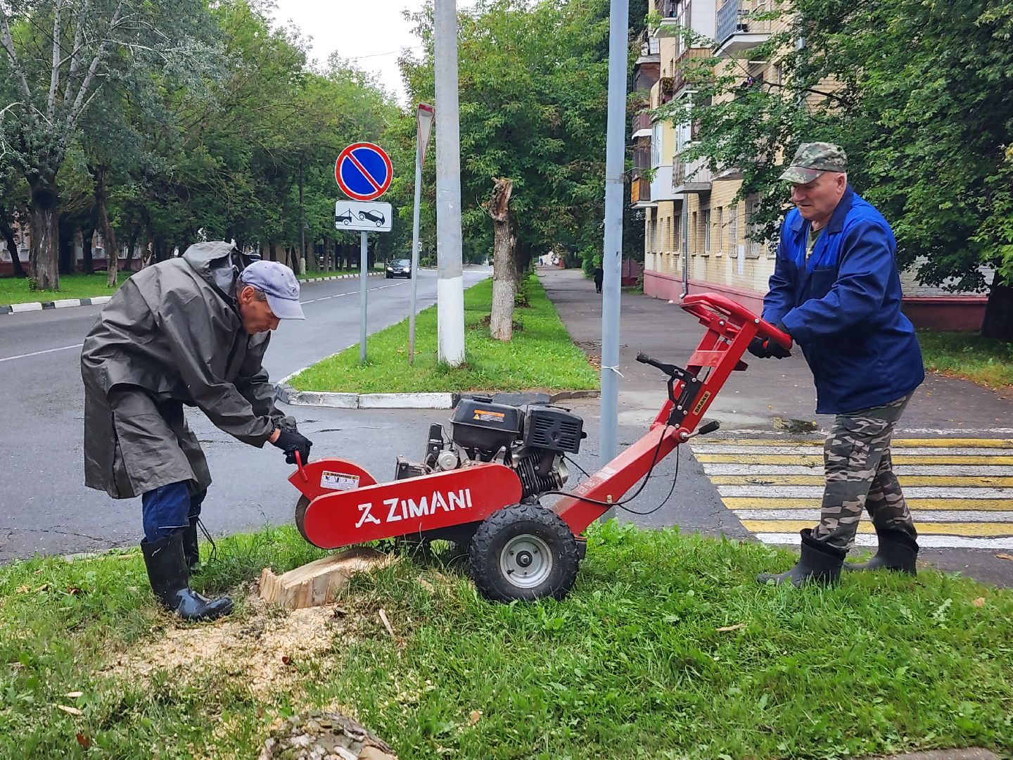 фрязино, удаление аварийных деревьев, сухостой,