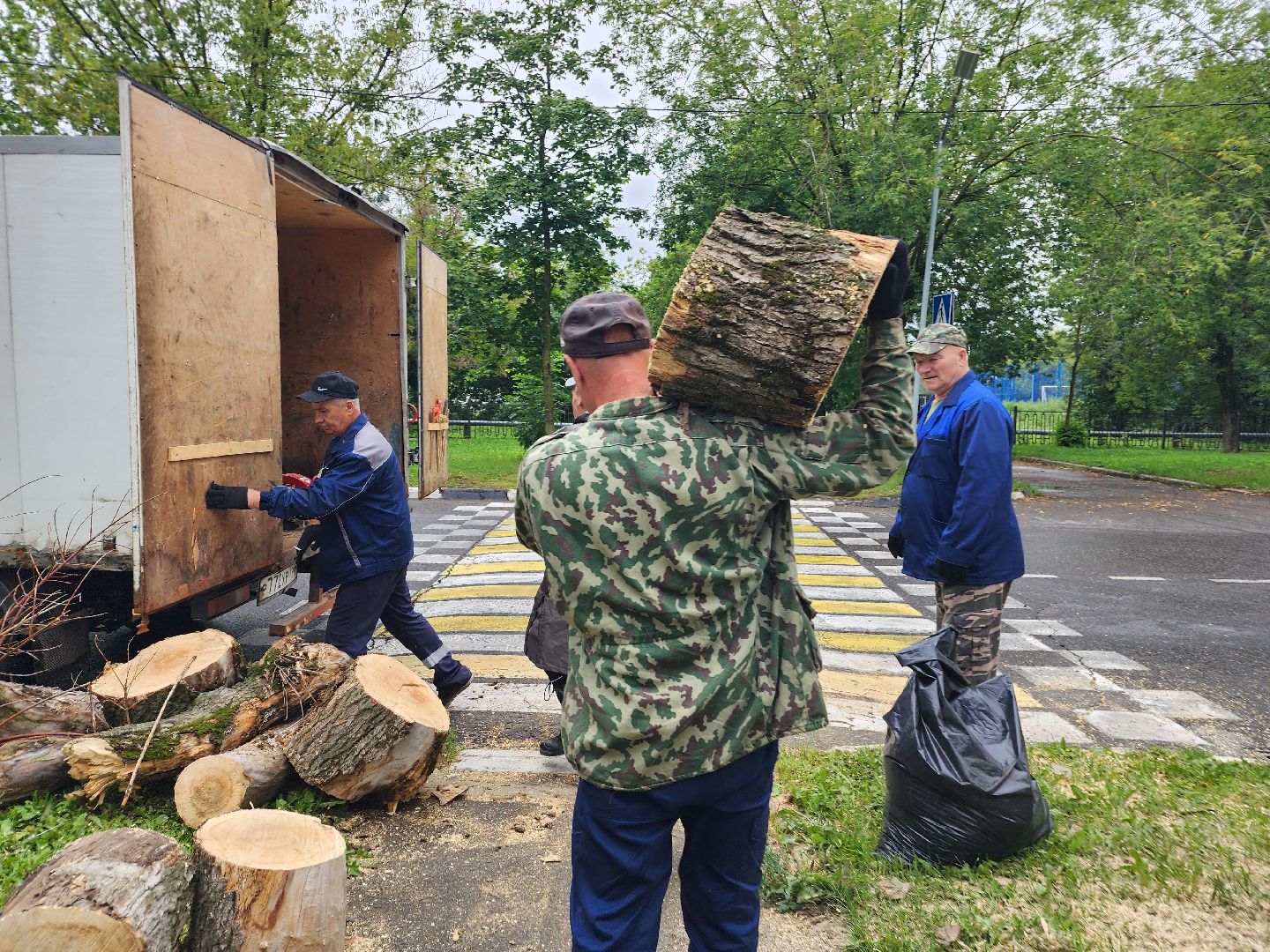 фрязино, удаление аварийных деревьев, сухостой,