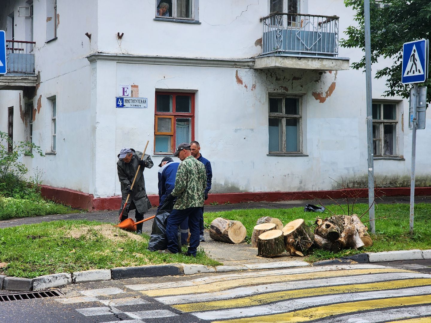 фрязино, удаление аварийных деревьев, сухостой,