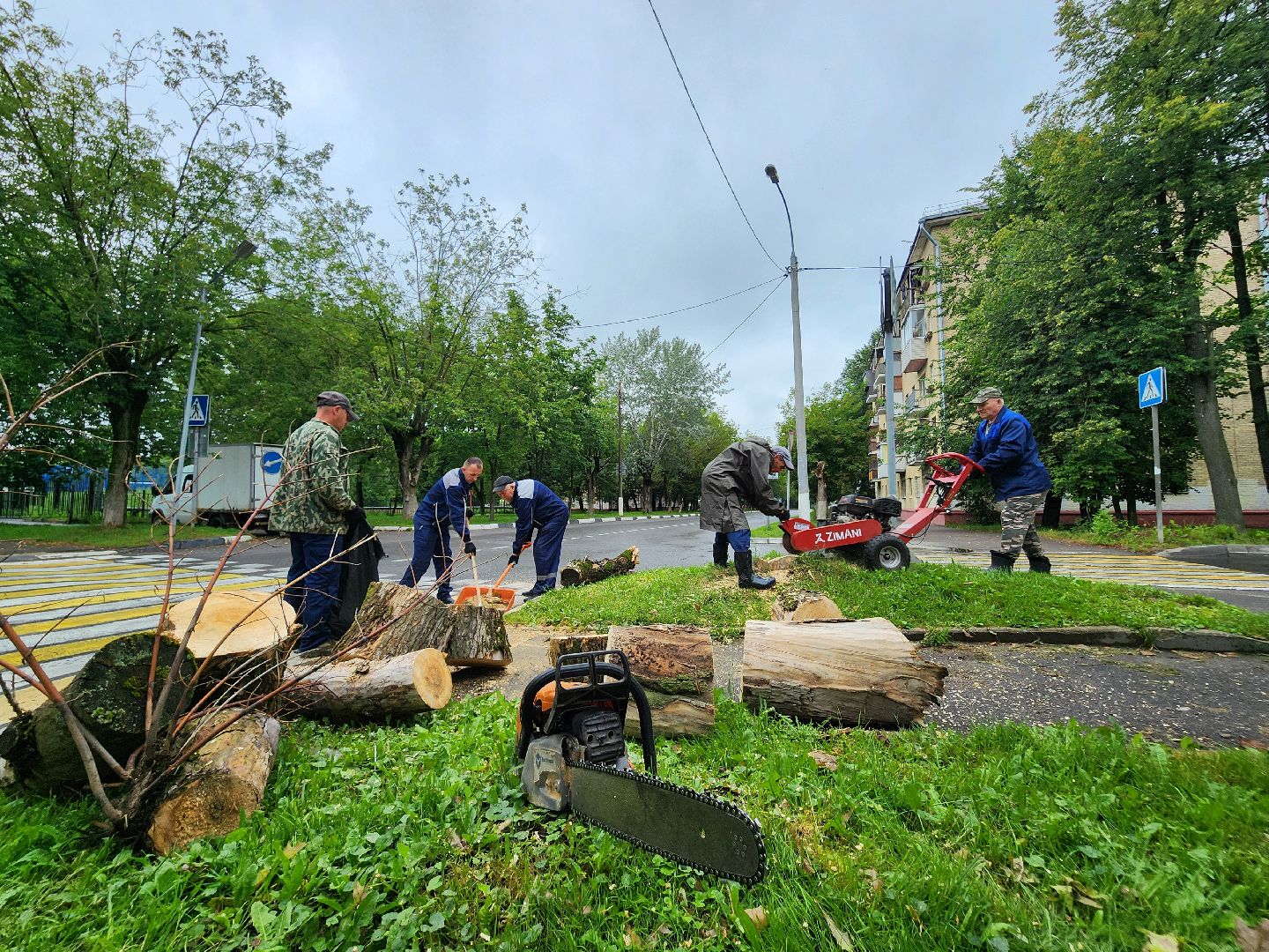 фрязино, удаление аварийных деревьев, сухостой,