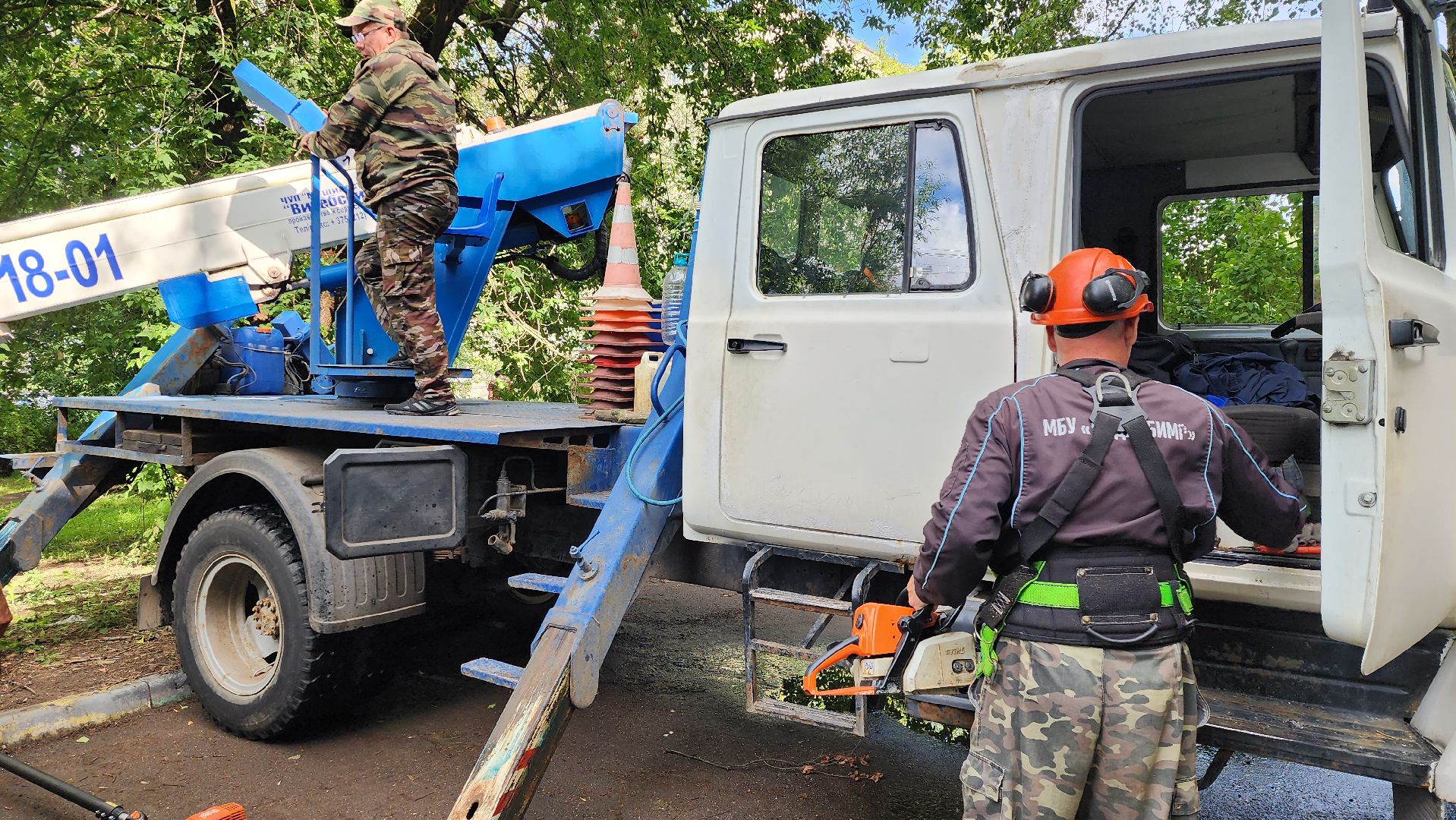 истра, благоустройство, обрезка веток,