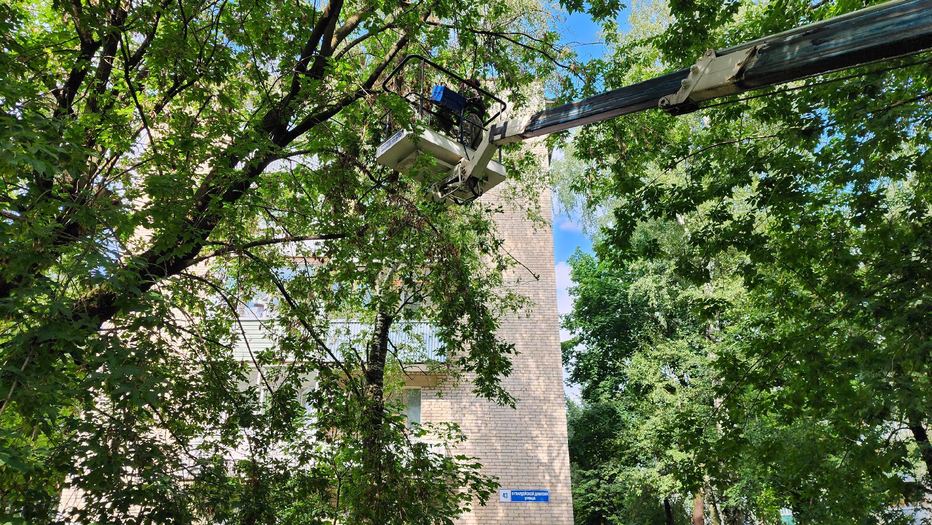 истра, благоустройство, обрезка веток,