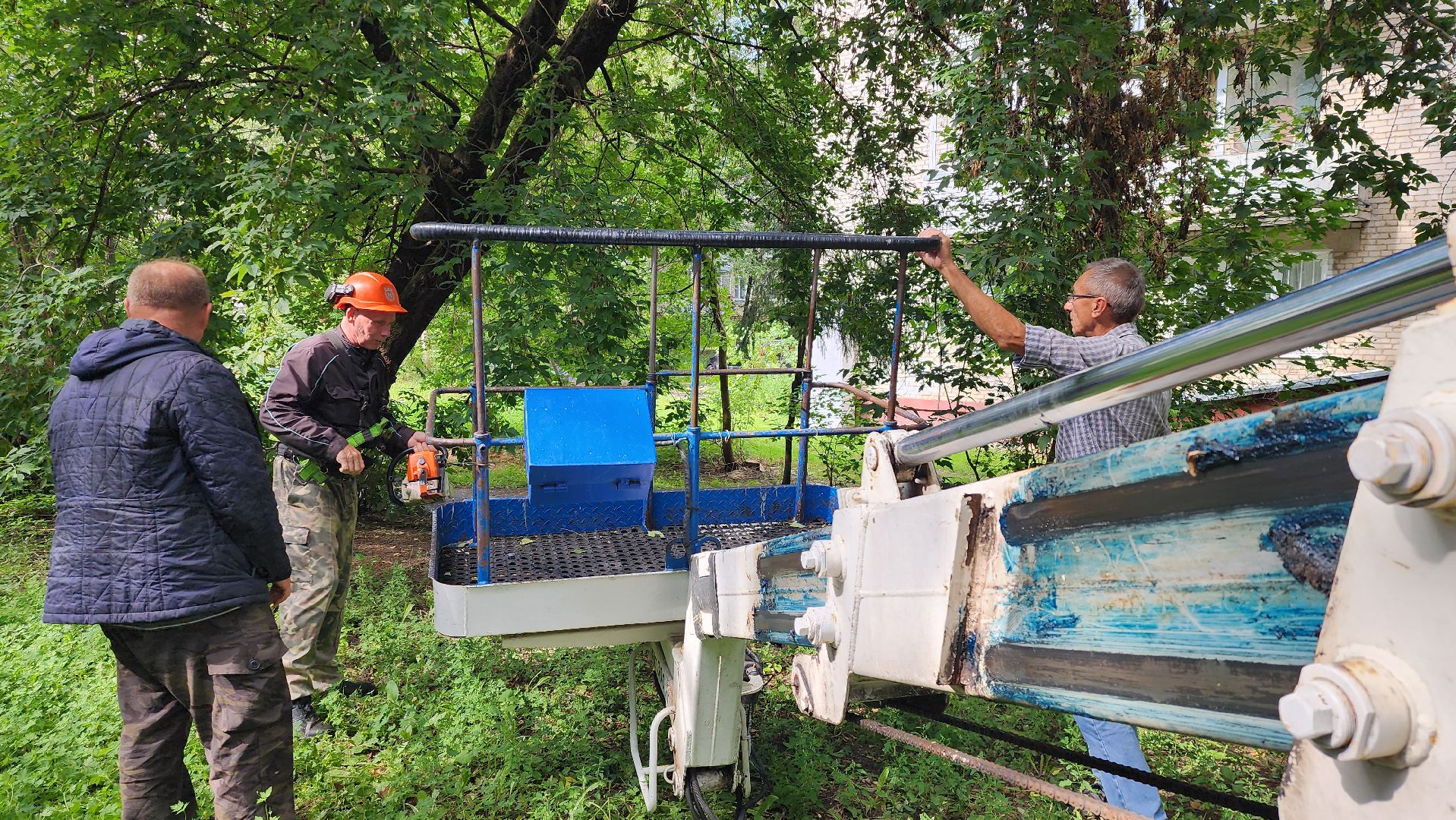 истра, благоустройство, обрезка веток,