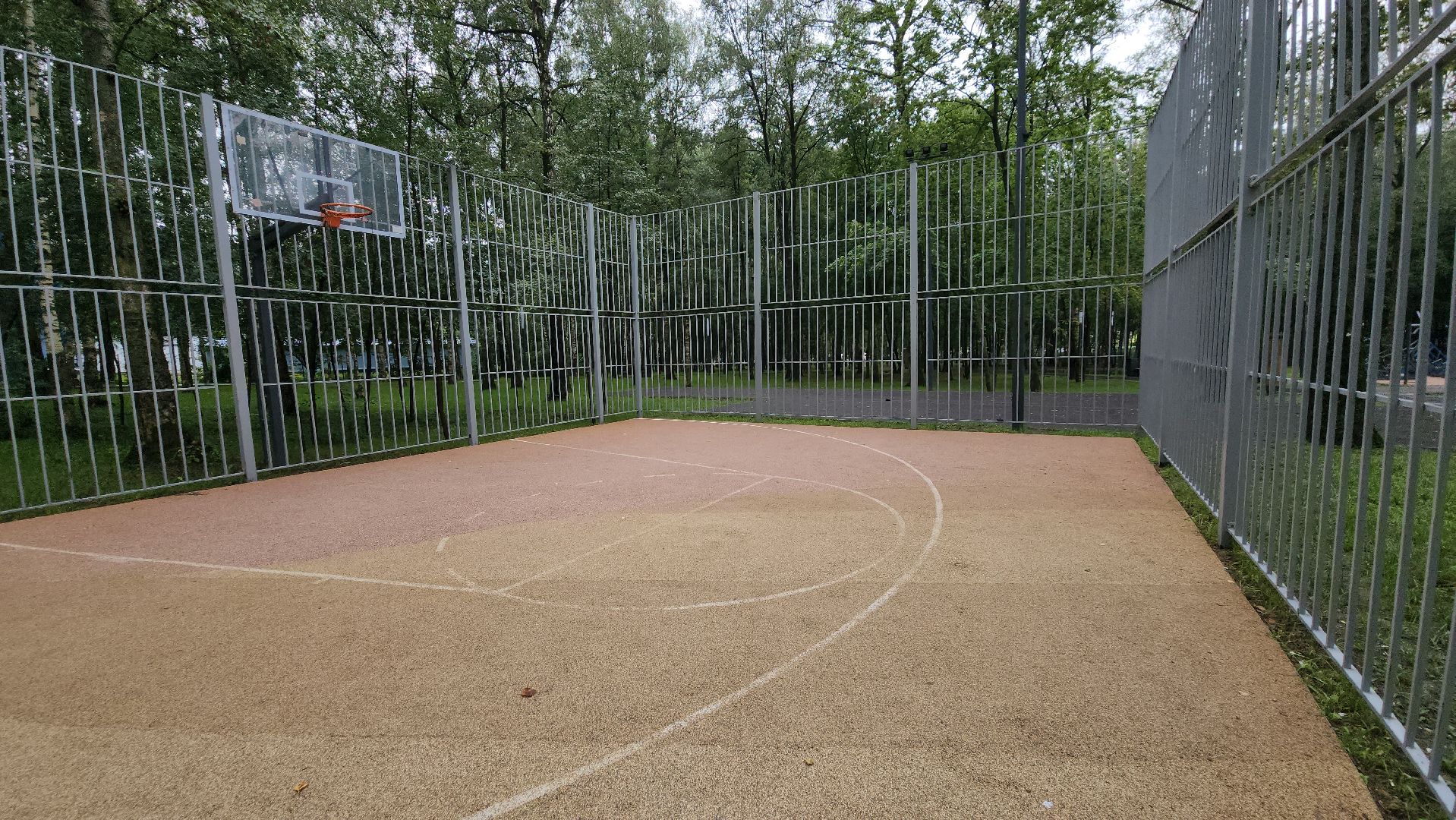 день физкультурника, Лобня, Спорт,