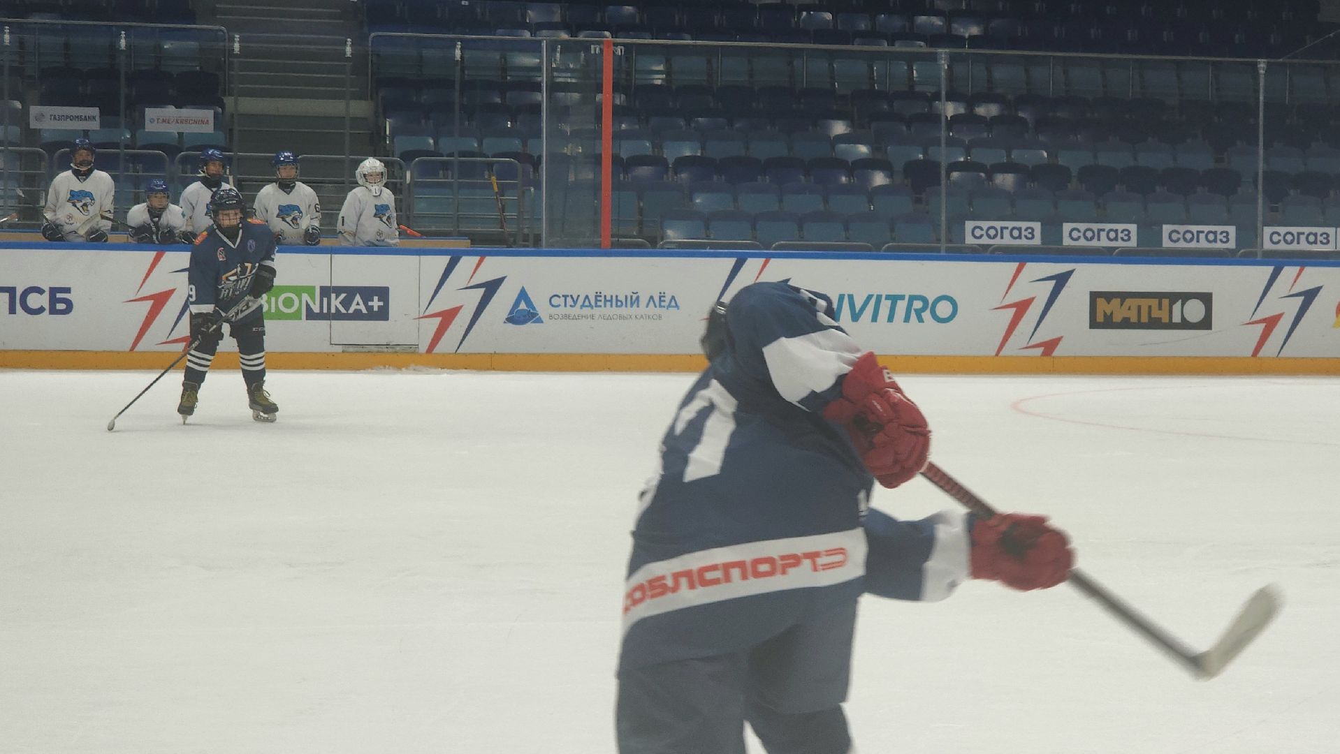 мытищи, хоккей, кубок овечкина,