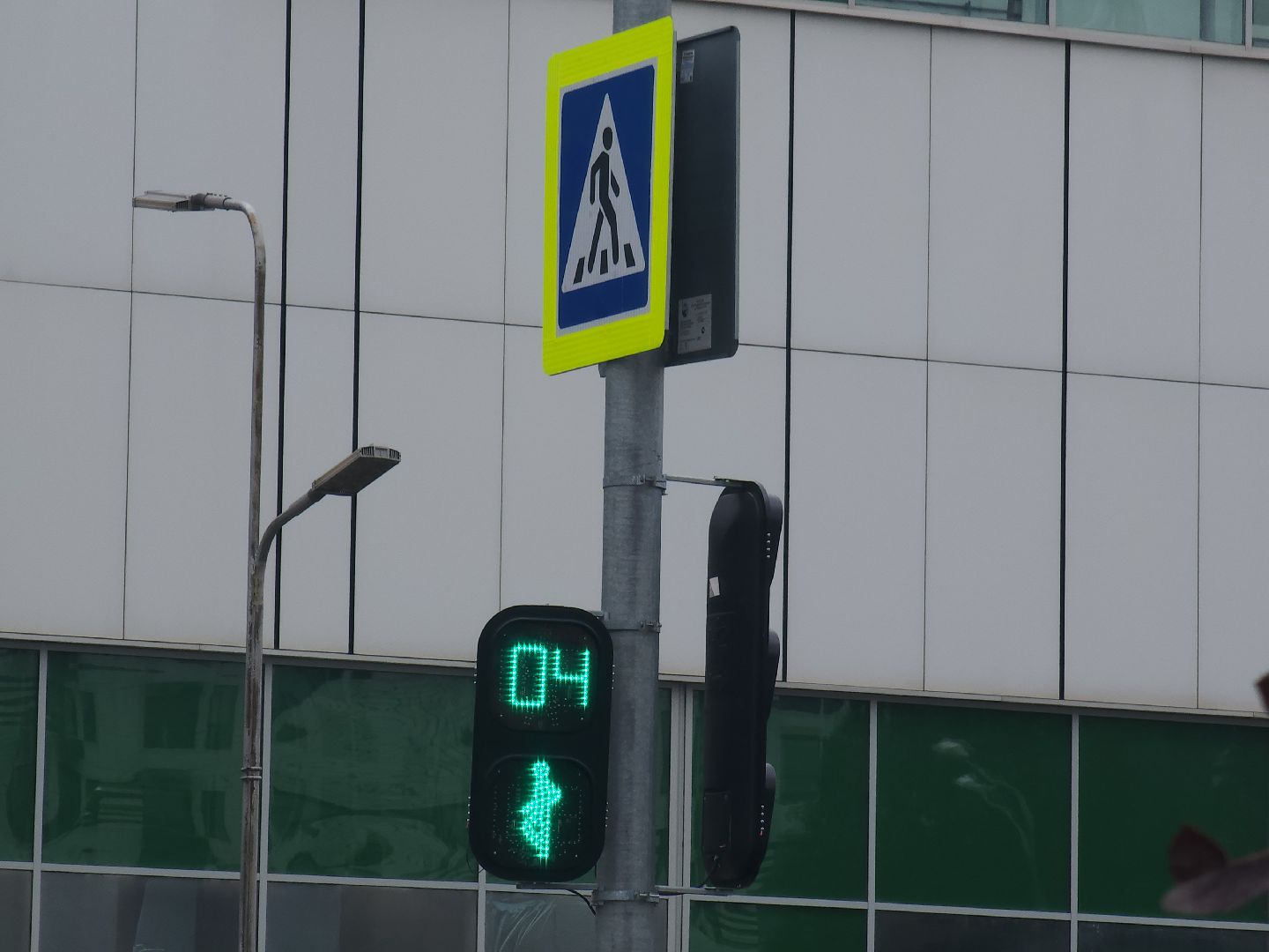 мытищи, светофор, безопасность, пдд,