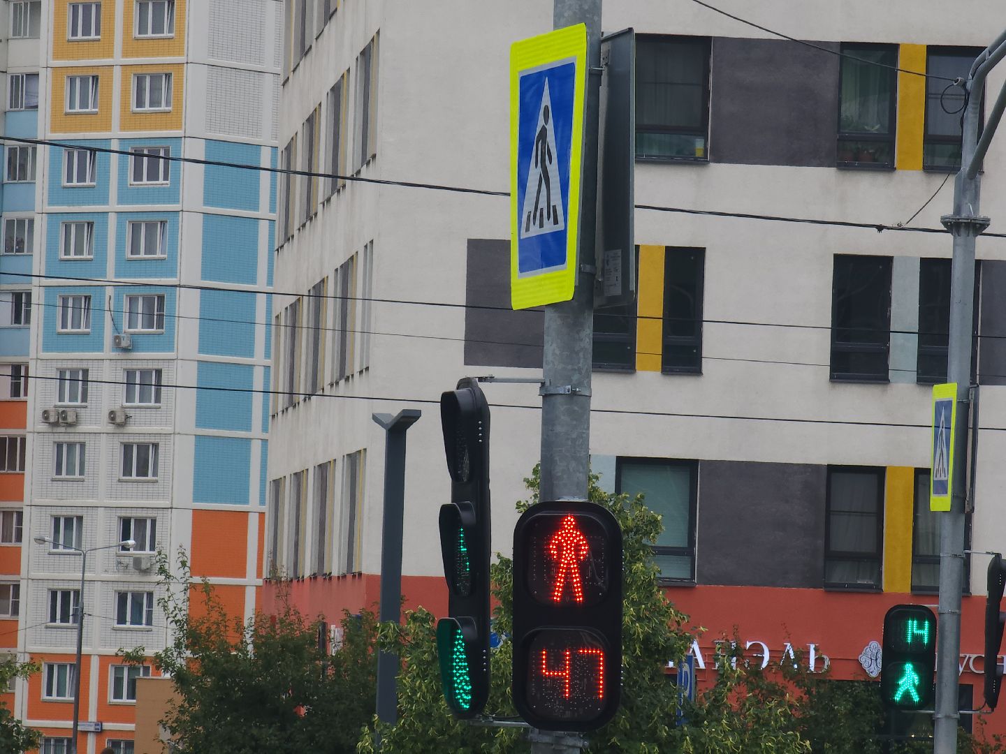мытищи, светофор, безопасность, пдд,