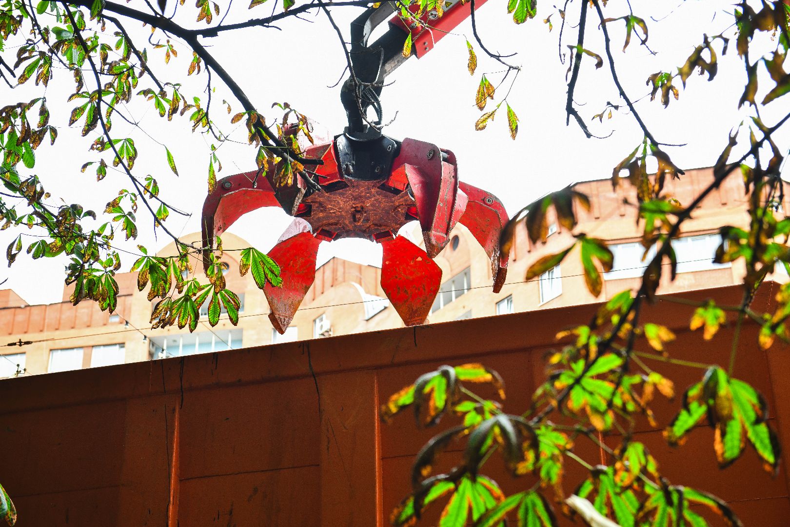 опиловка, деревья, кусты, безопасность,