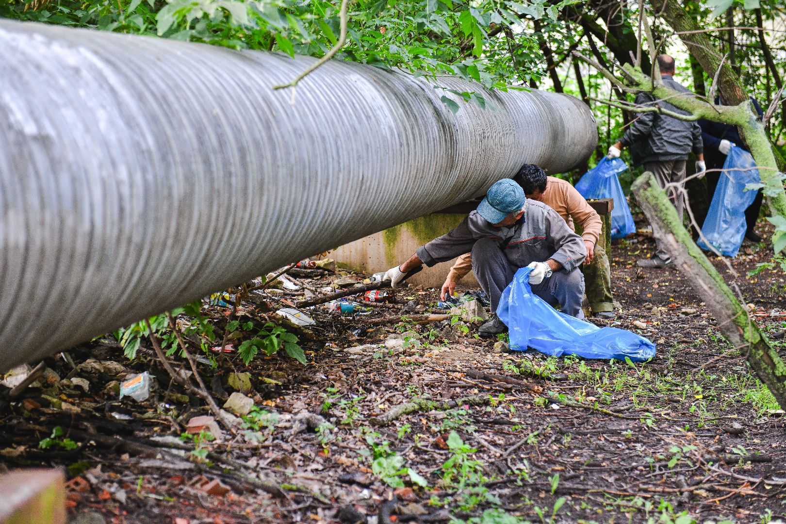 мусор, уборка, стекло, пластик,