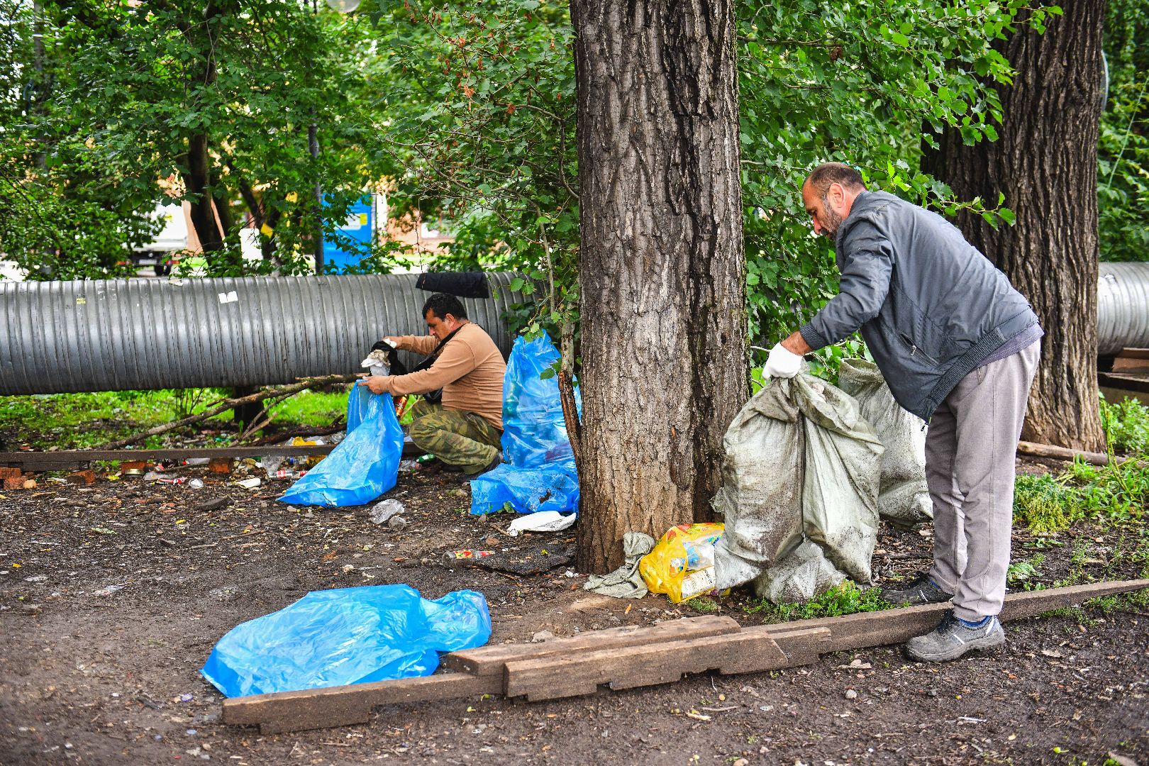мусор, уборка, стекло, пластик,