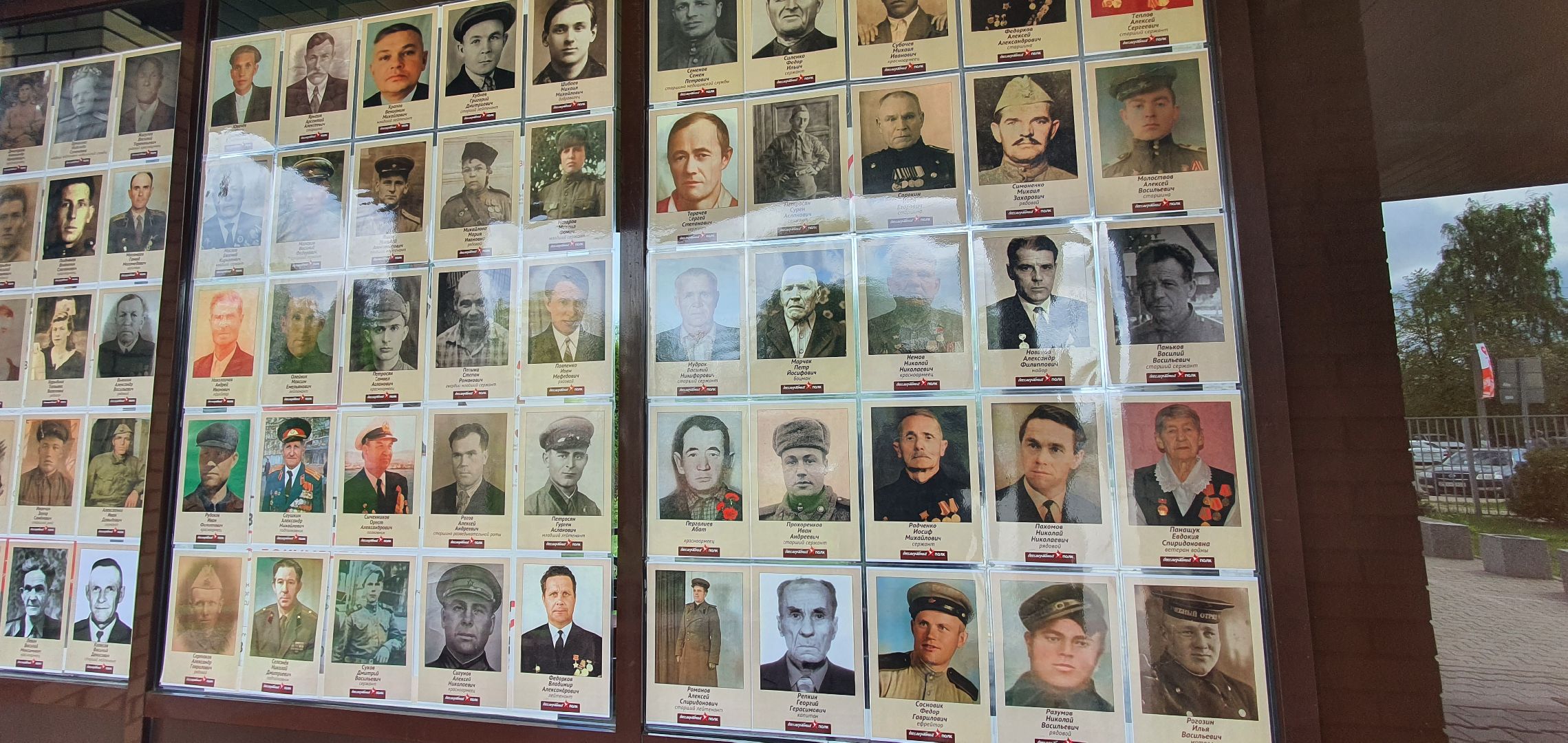 Бессмертный полк, МФЦ, Домодедово