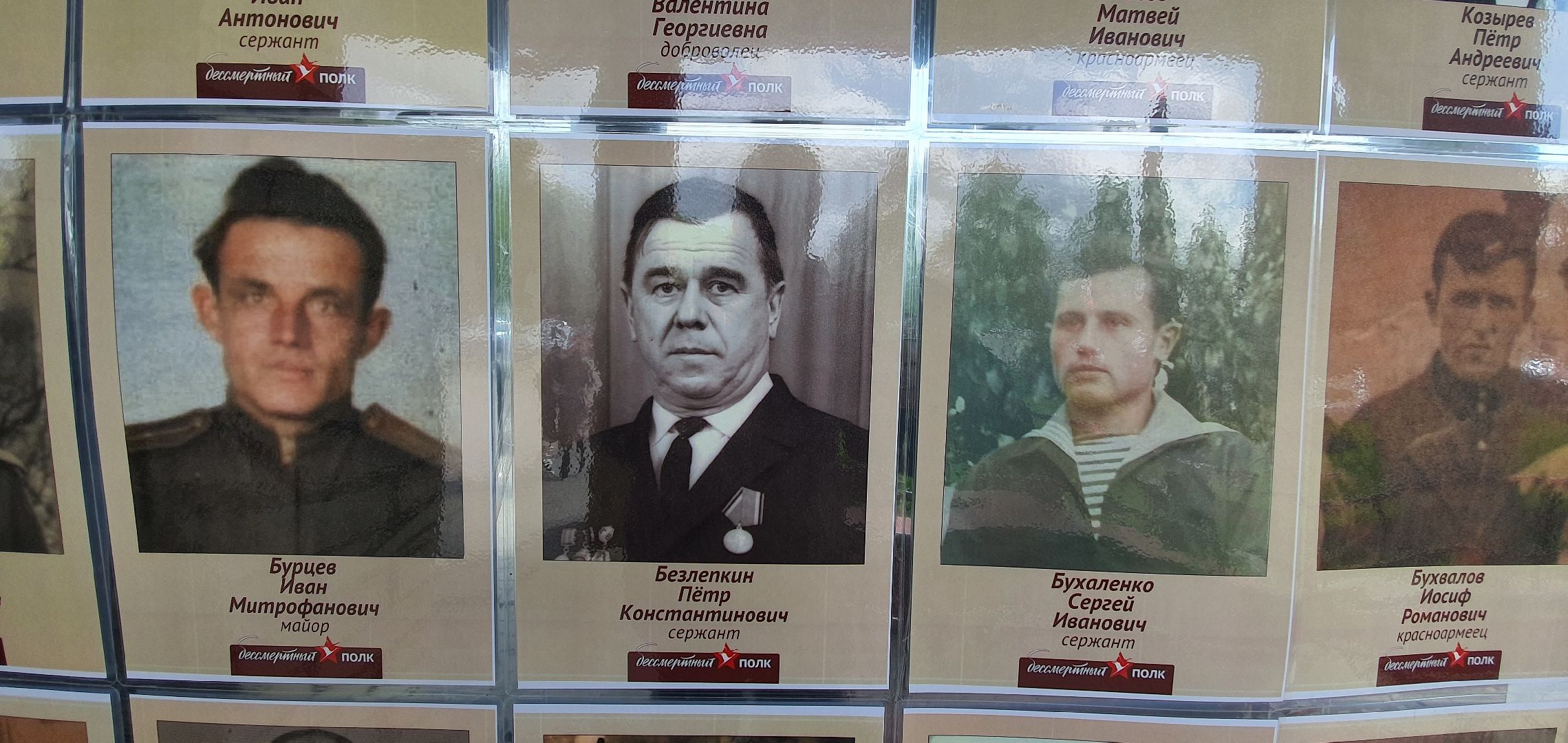 Бессмертный полк, МФЦ, Домодедово