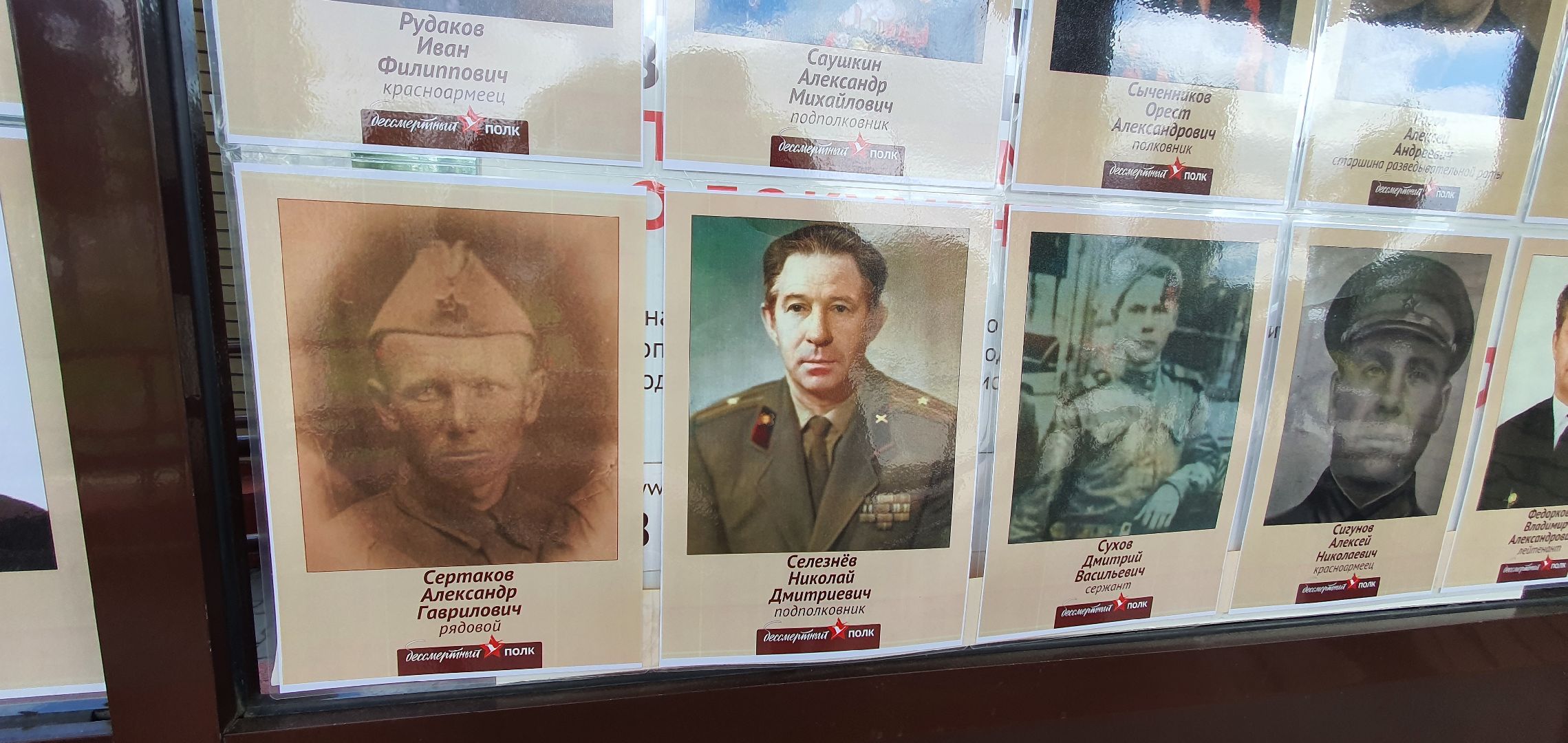 Бессмертный полк, МФЦ, Домодедово