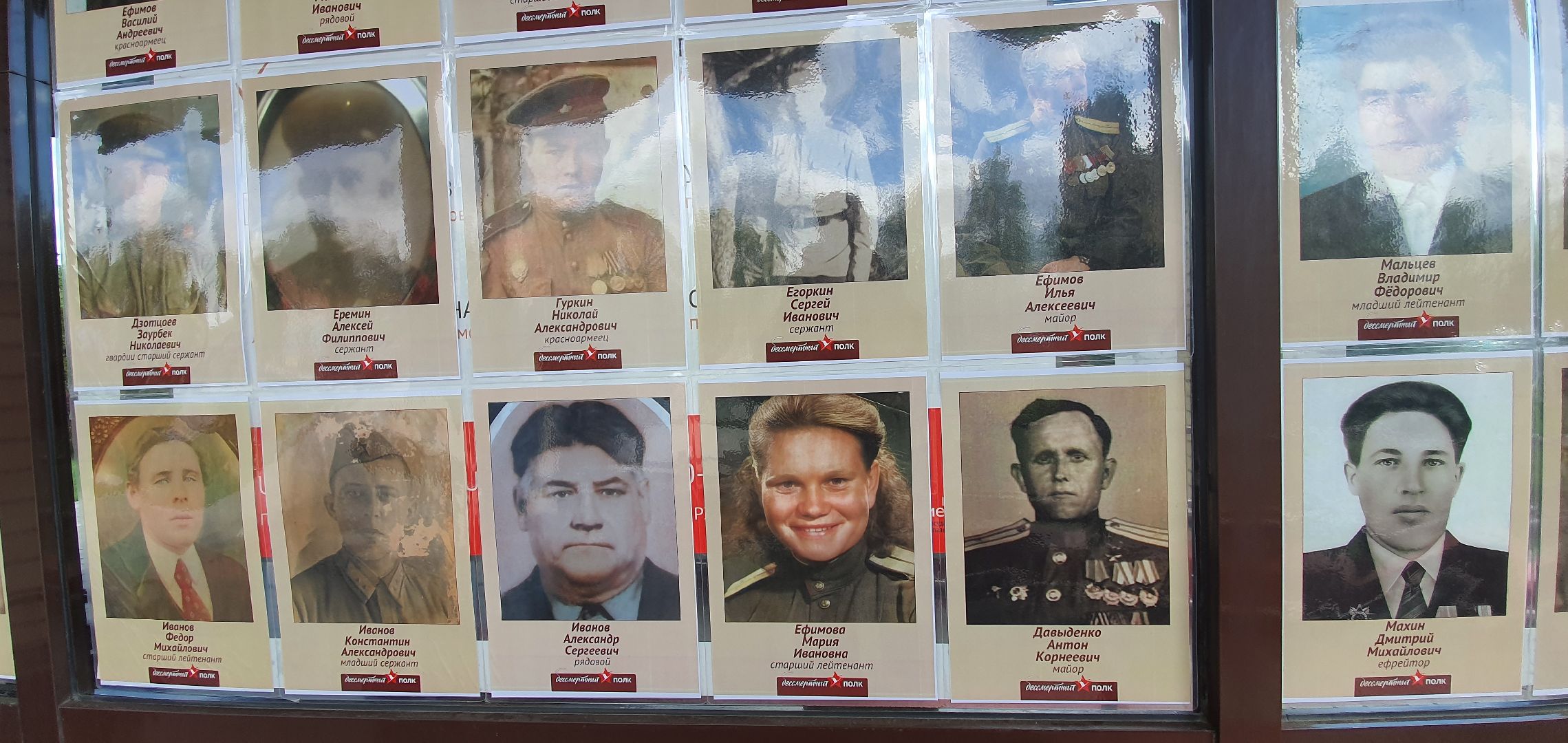 Бессмертный полк, МФЦ, Домодедово