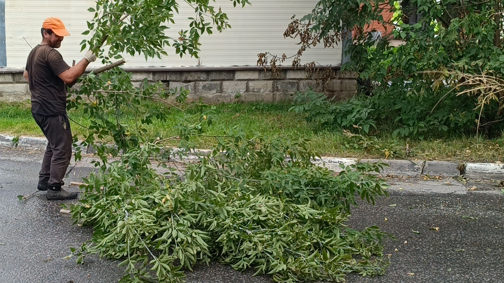 дорога, добродел, лобня,