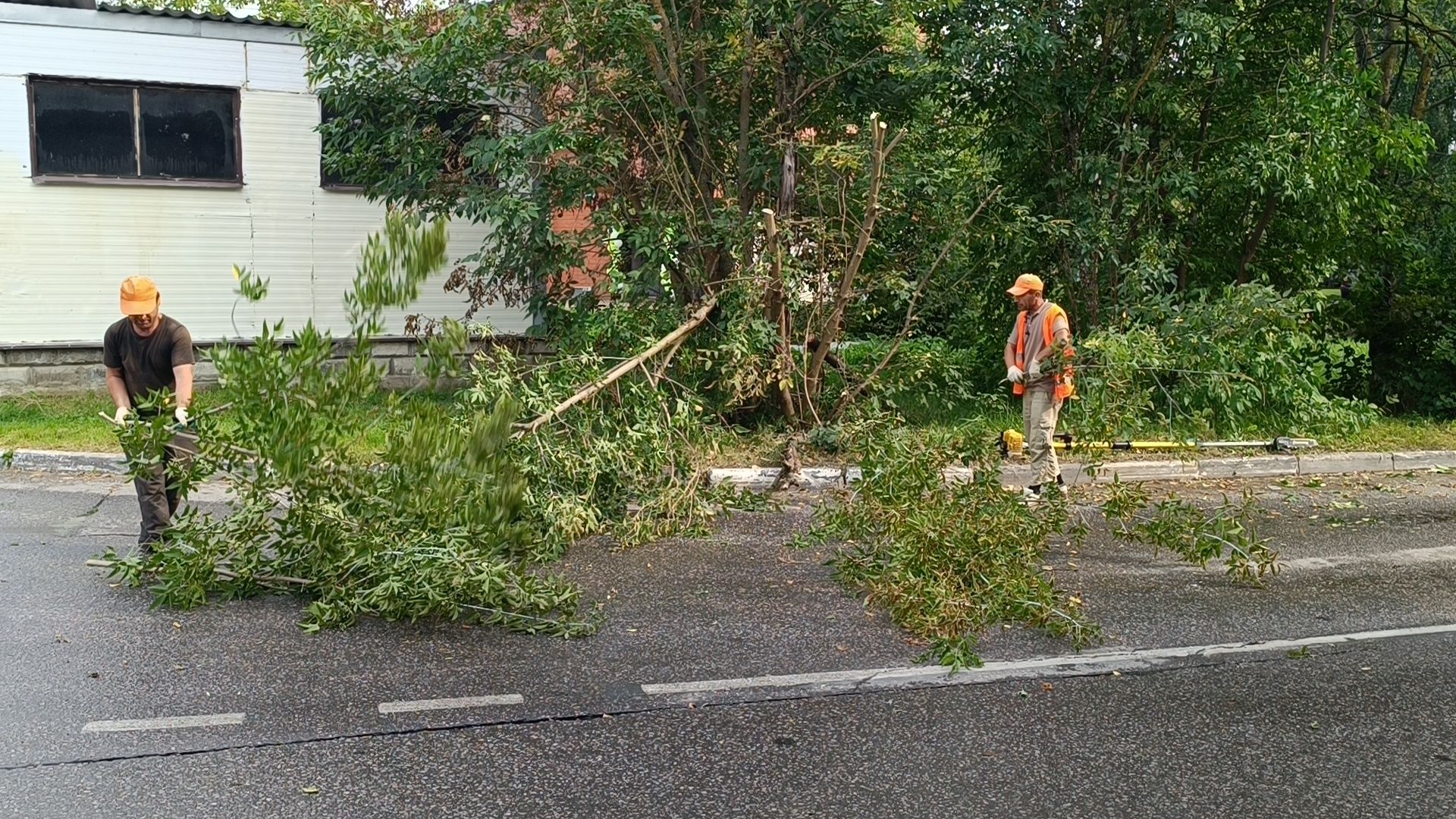 дорога, добродел, лобня,