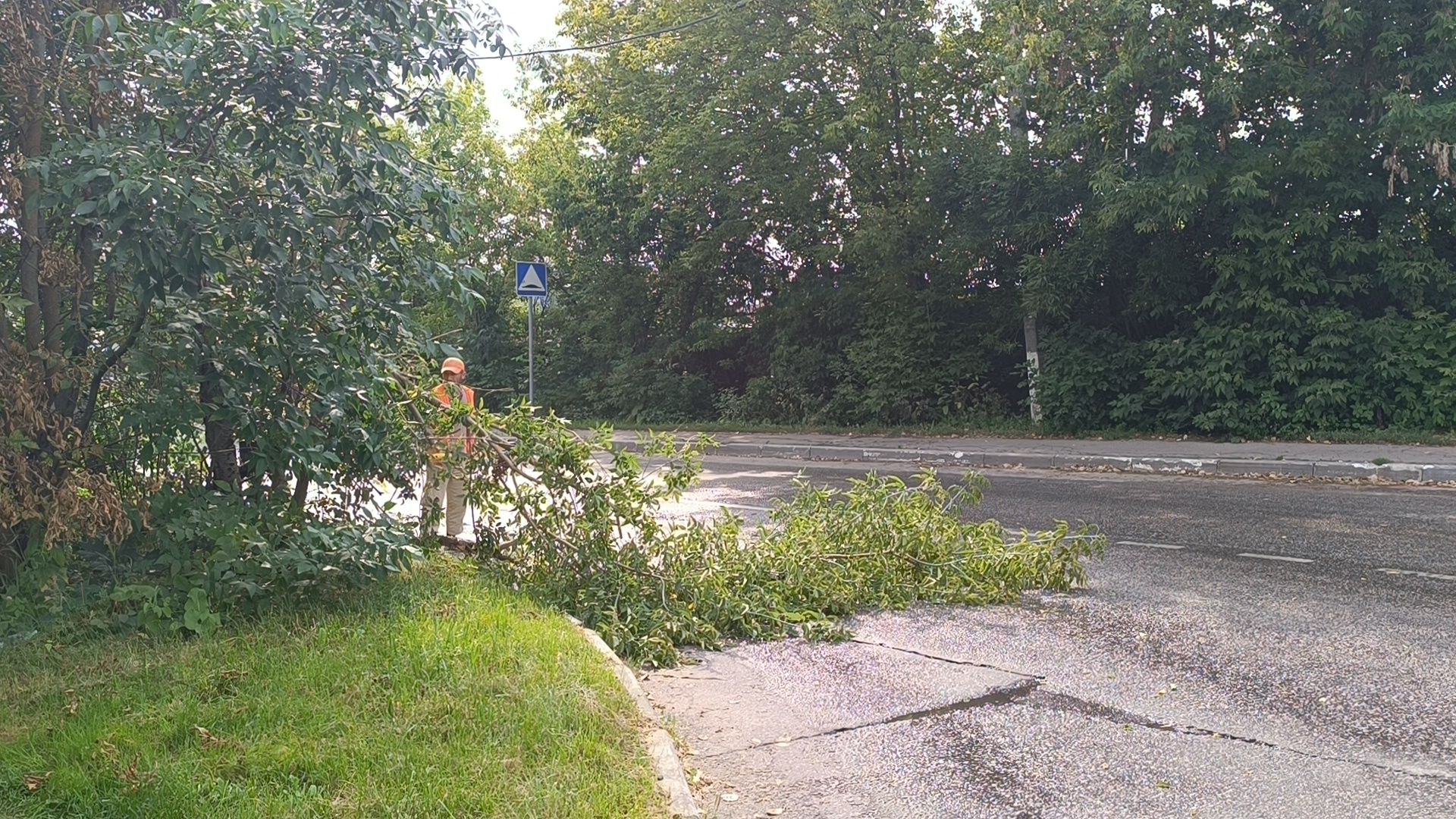 дорога, добродел, лобня,