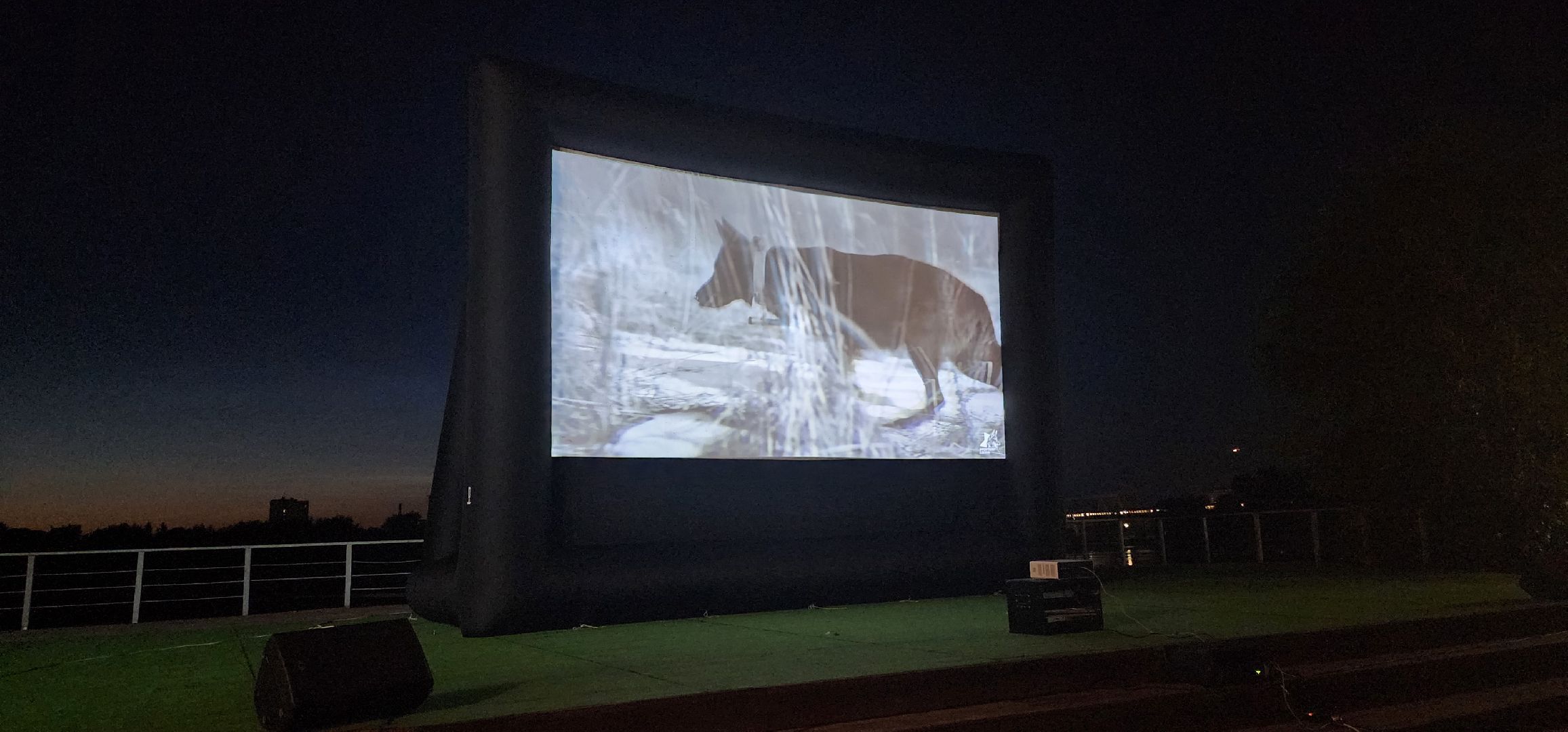 долгопрудный, x-легион, парк мысово, фронтовая собака, амфитеатр, кинопоказы под открытым небом, авторское кино,