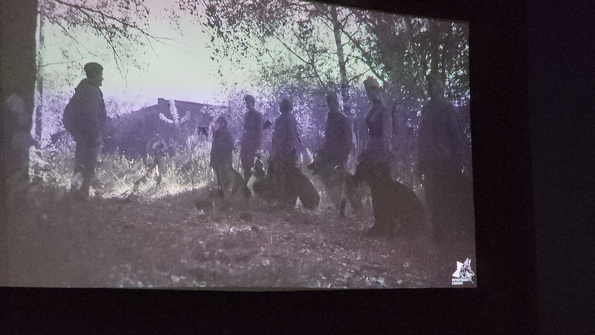 долгопрудный, x-легион, парк мысово, фронтовая собака, амфитеатр, кинопоказы под открытым небом, авторское кино,