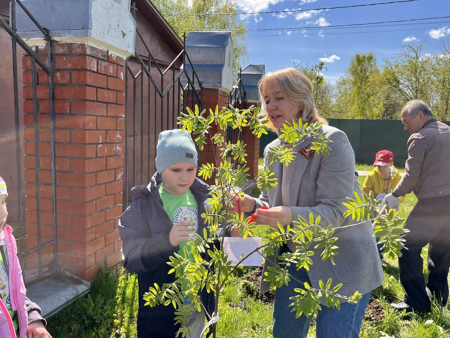 Наро-Фоминский городской округ, память, чтобы помнили, День Победы, посади дерево, благоустройство, Мособлдума, депутат, Александр Баранов
