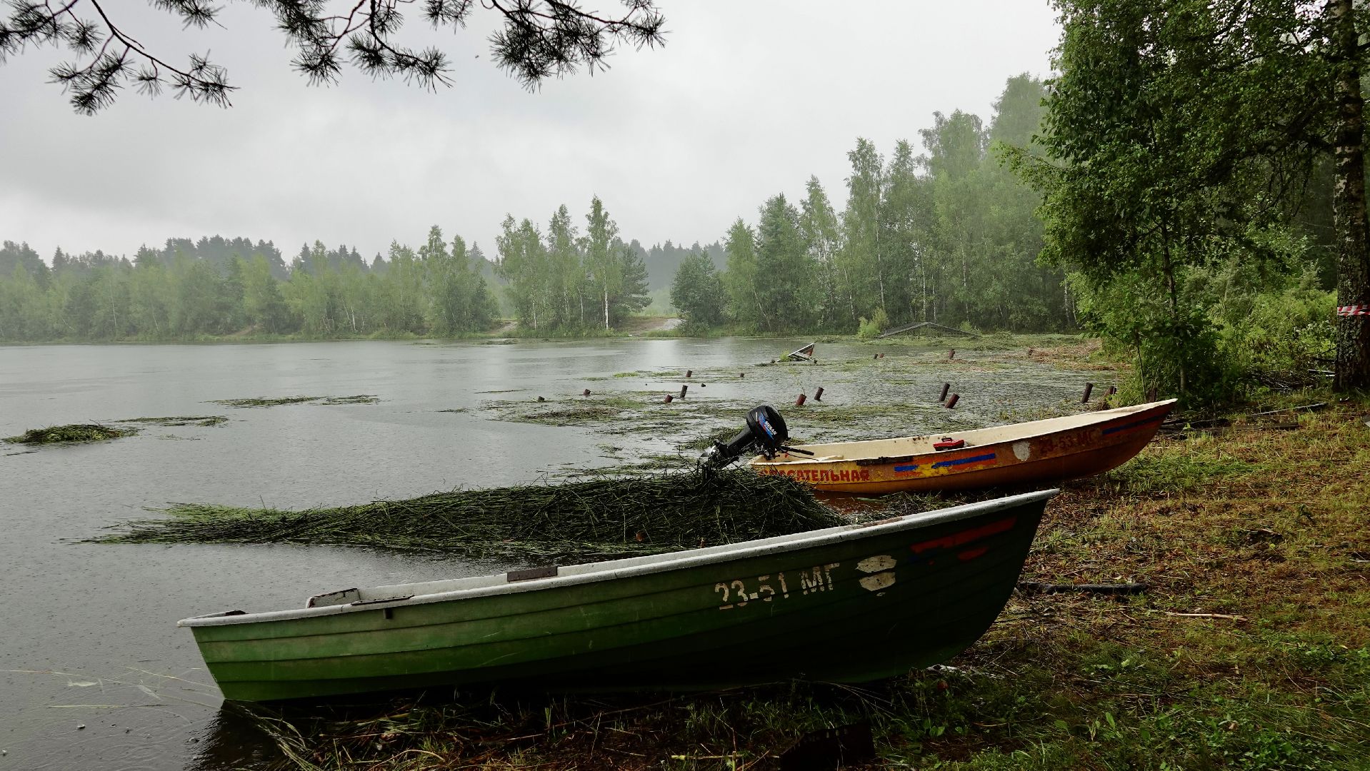экология, водоемы, очистка прудов, сергиево-посадский городской округ,