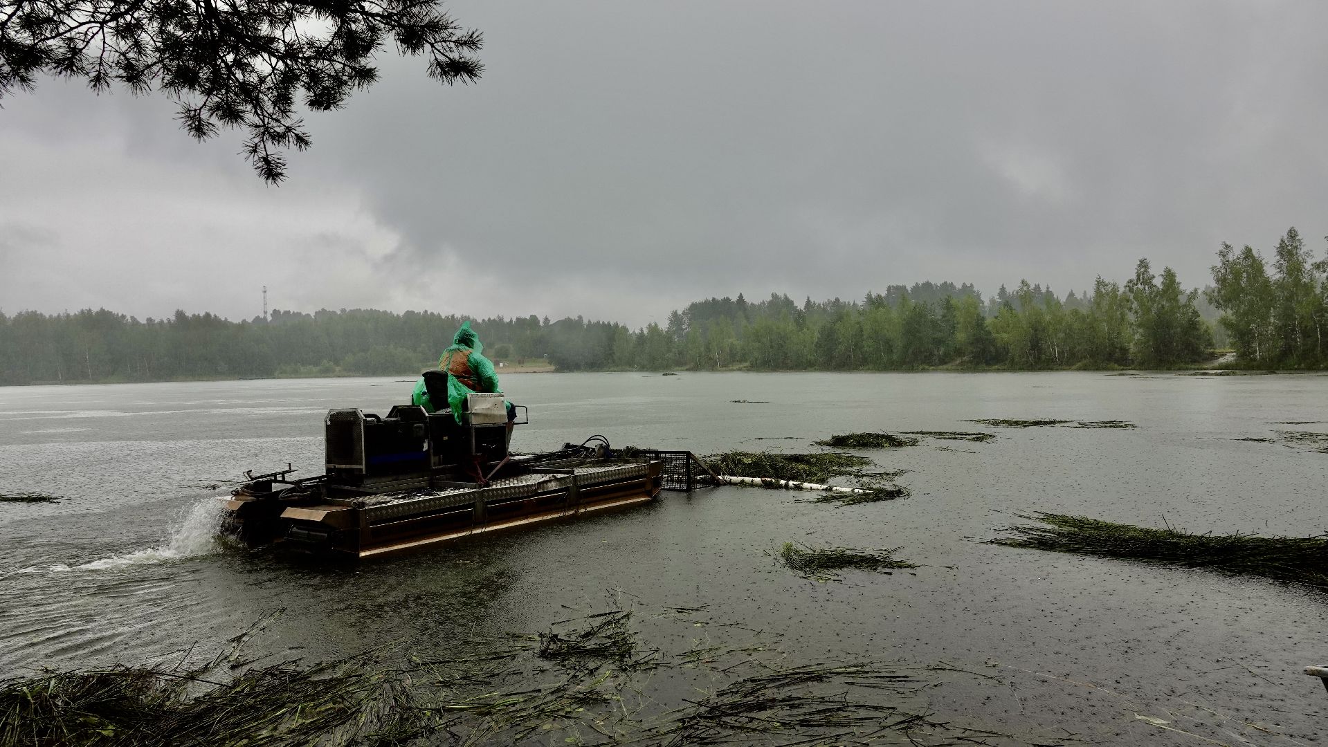 экология, водоемы, очистка прудов, сергиево-посадский городской округ,