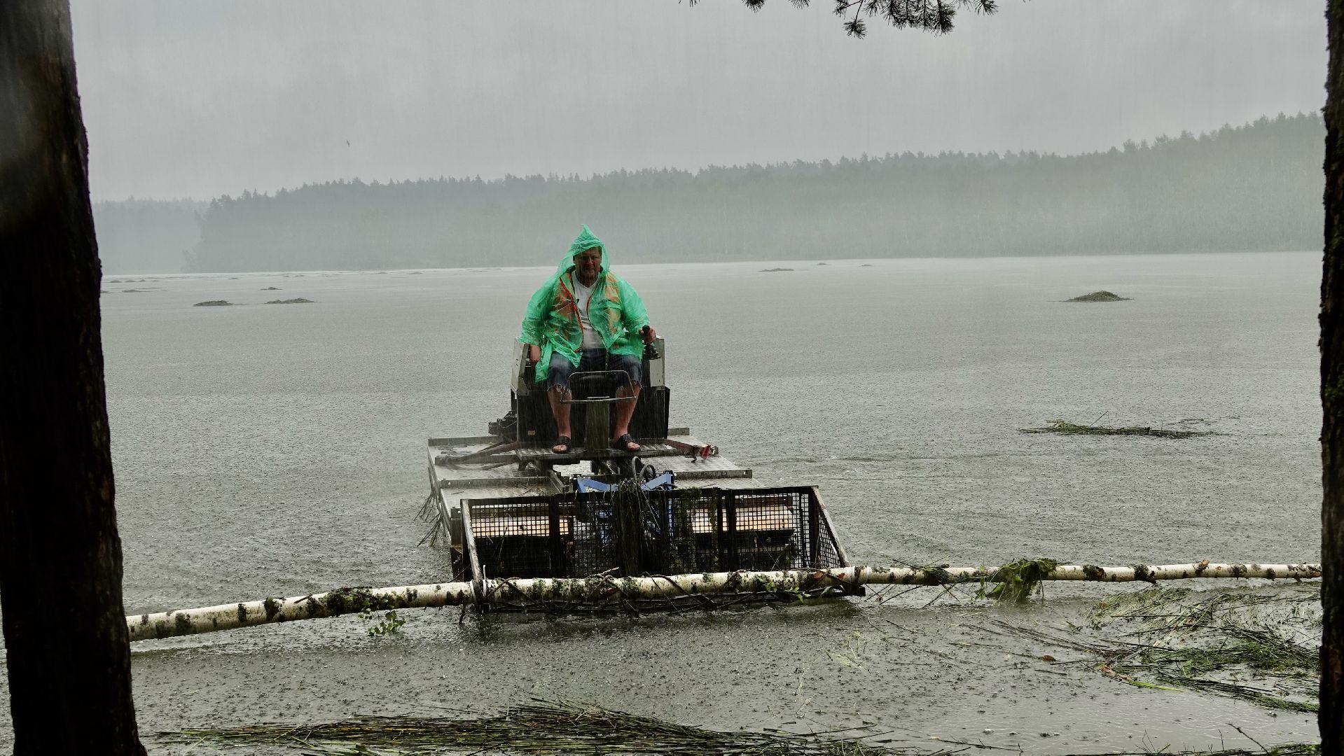 экология, водоемы, очистка прудов, сергиево-посадский городской округ,