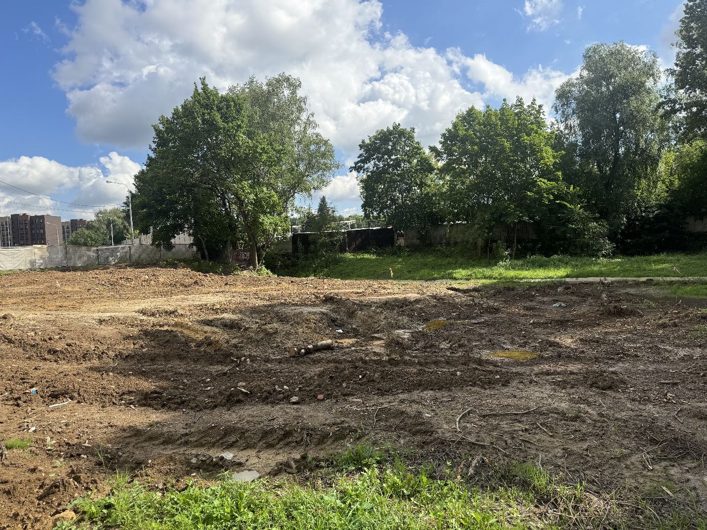 скейт-парк, благоустойство, ленинский городской округ, центральный парк видного,