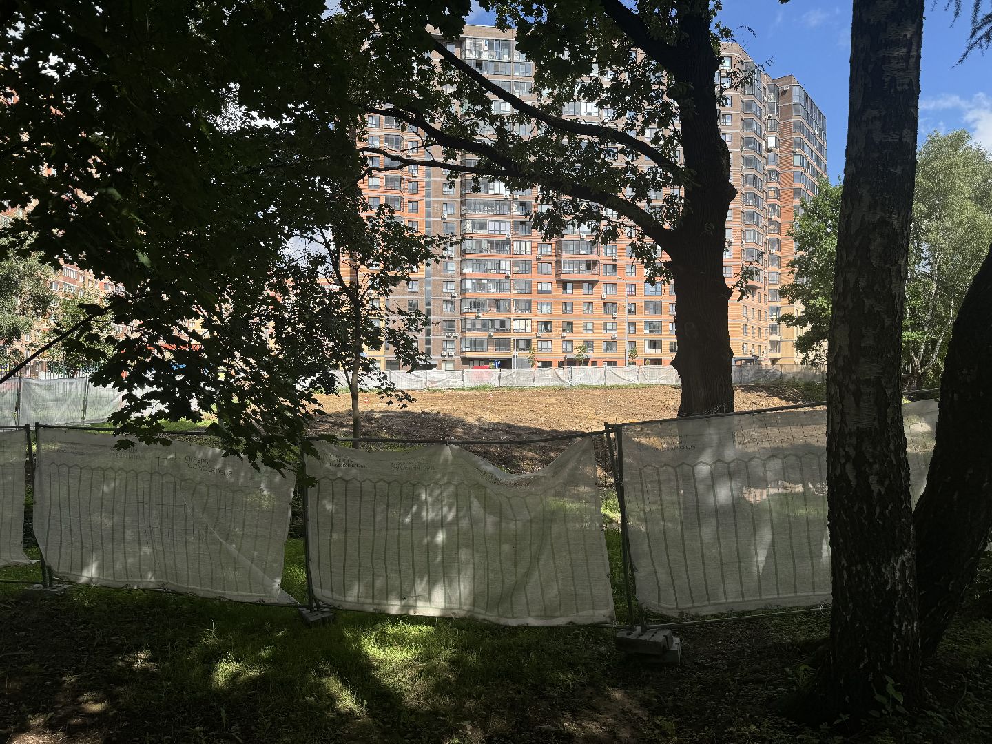 скейт-парк, благоустойство, ленинский городской округ, центральный парк видного,