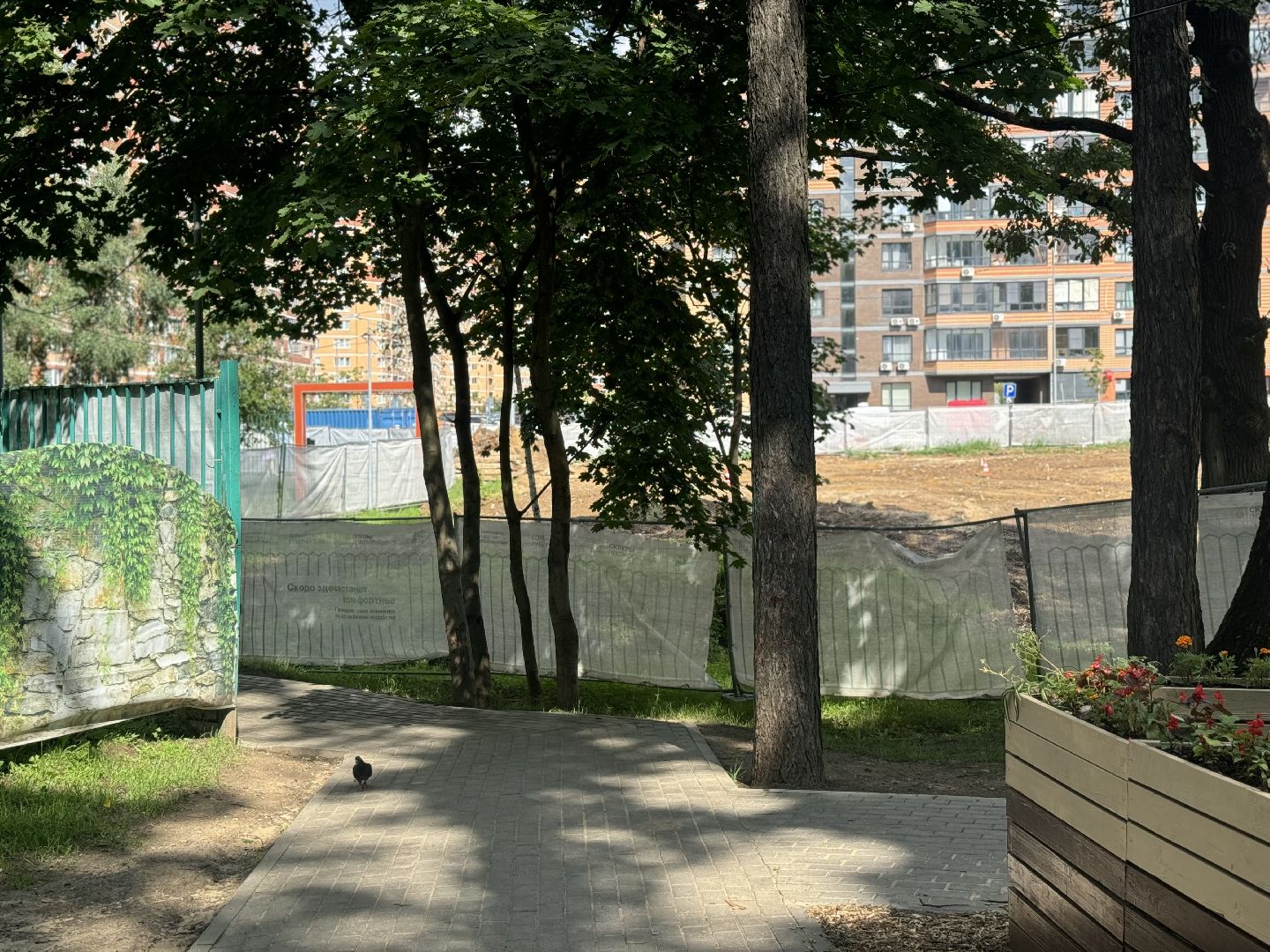 скейт-парк, благоустойство, ленинский городской округ, центральный парк видного,