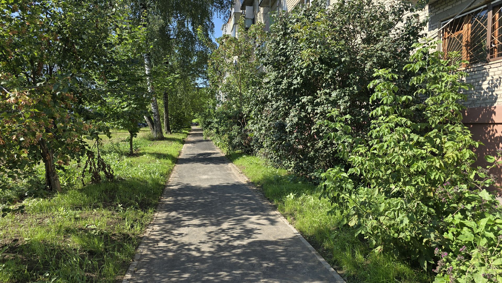 Коломна, народная тропа,