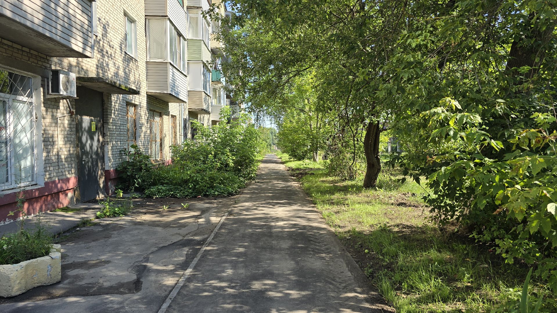 Коломна, народная тропа,