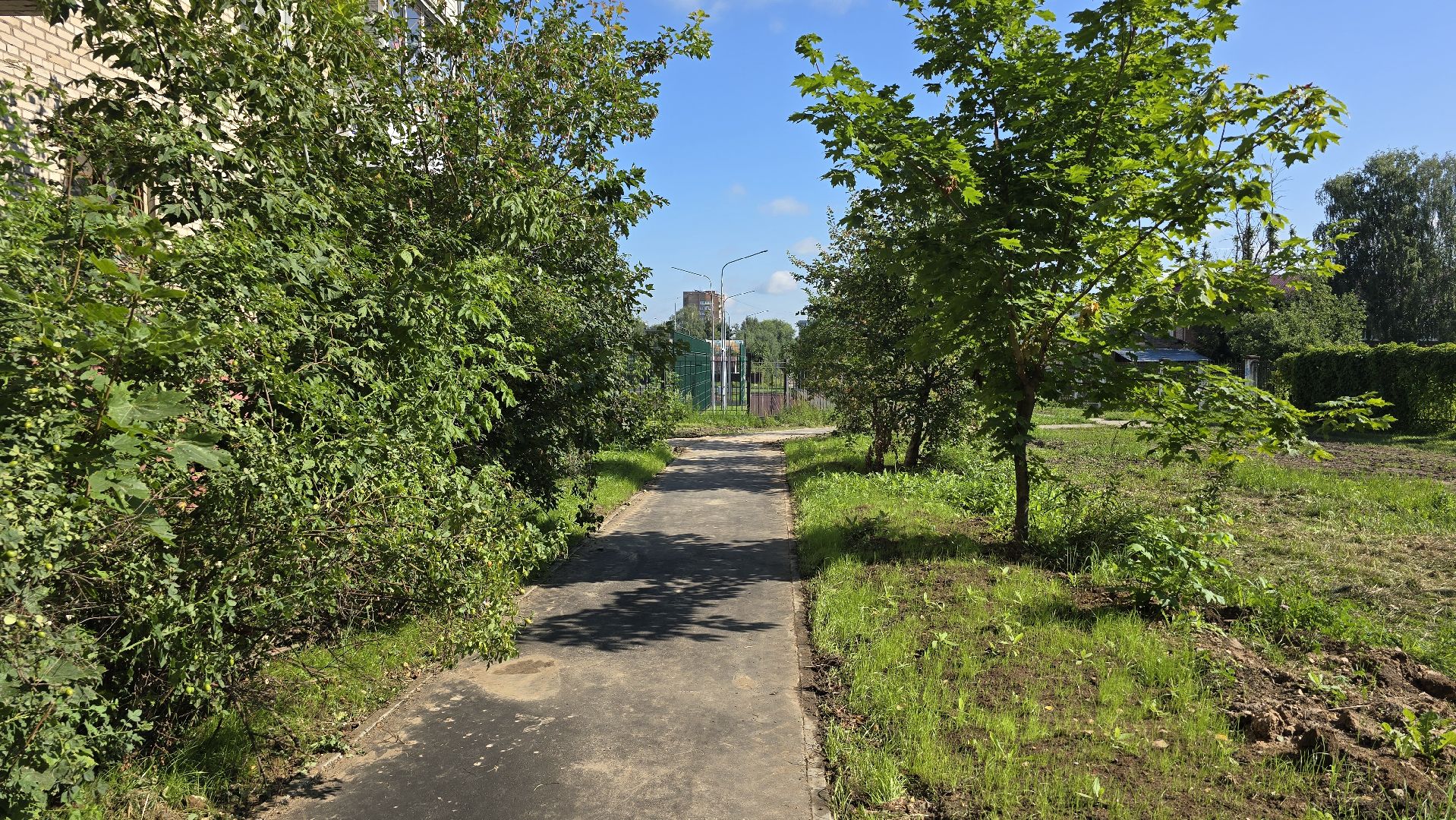 Коломна, народная тропа,