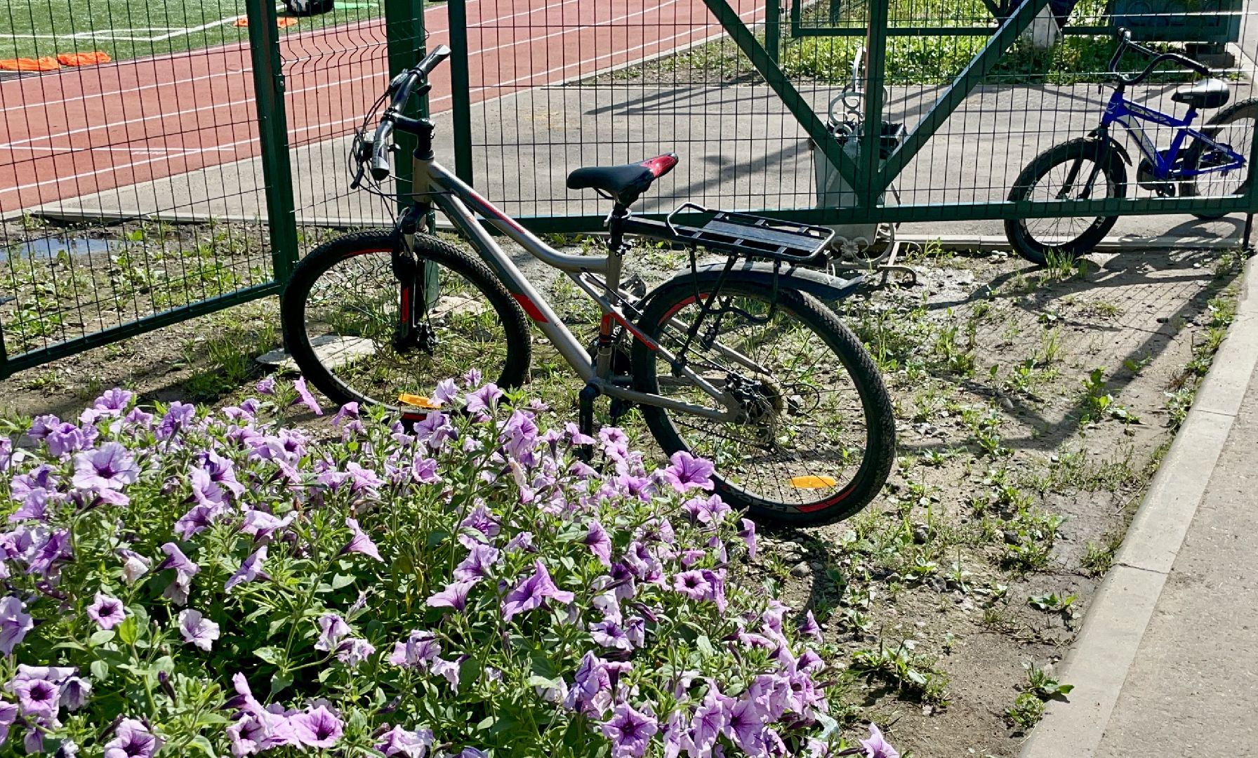 спорт, спортсмены, сергиев посад, сергиево-посадский городской округ,