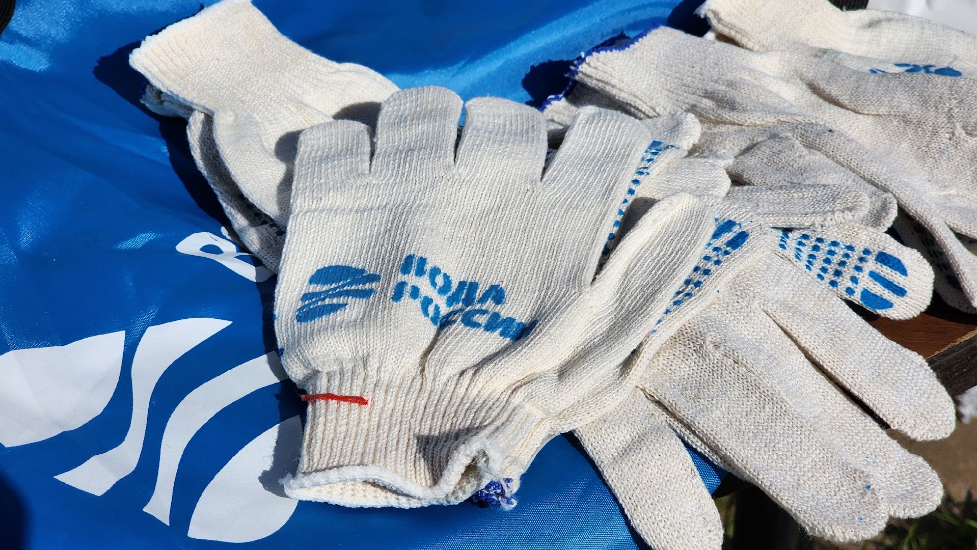 Руза, Вода россии, Берег добрых дел, Экология,