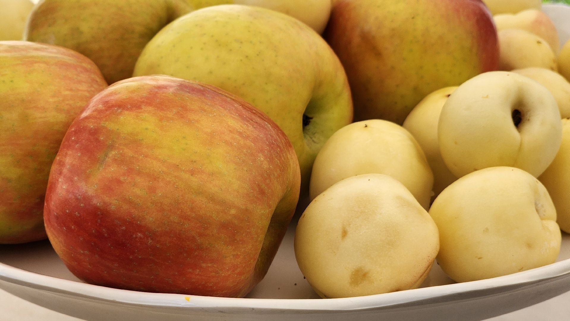 Руза, волонтеры подмосковья, Экология,