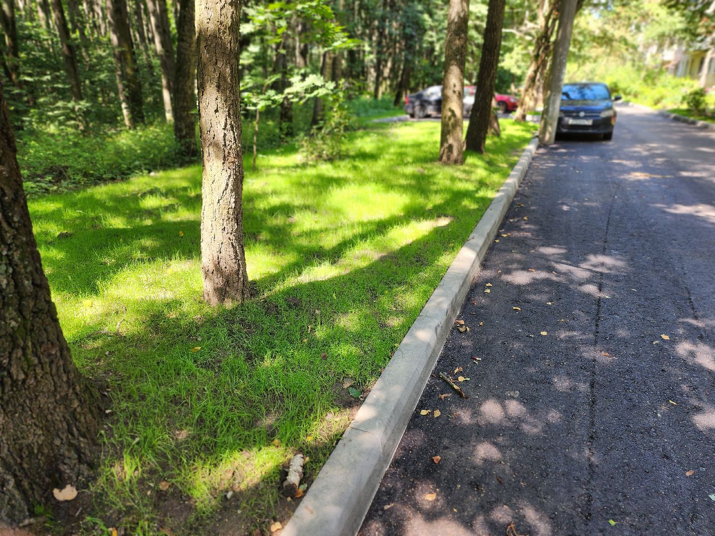 королёв, новый асфальт на улице Толстого,  администрация округа,