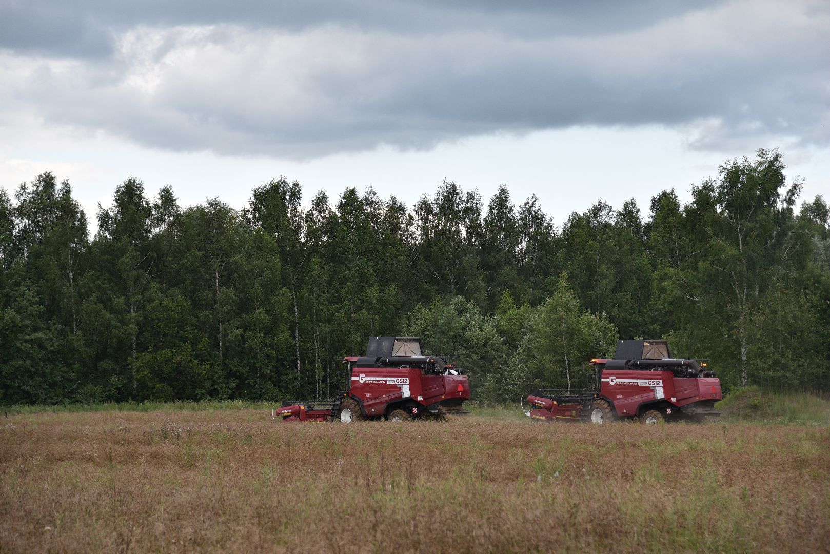 лотошино, сельское хозяйство,  уборка урожая,