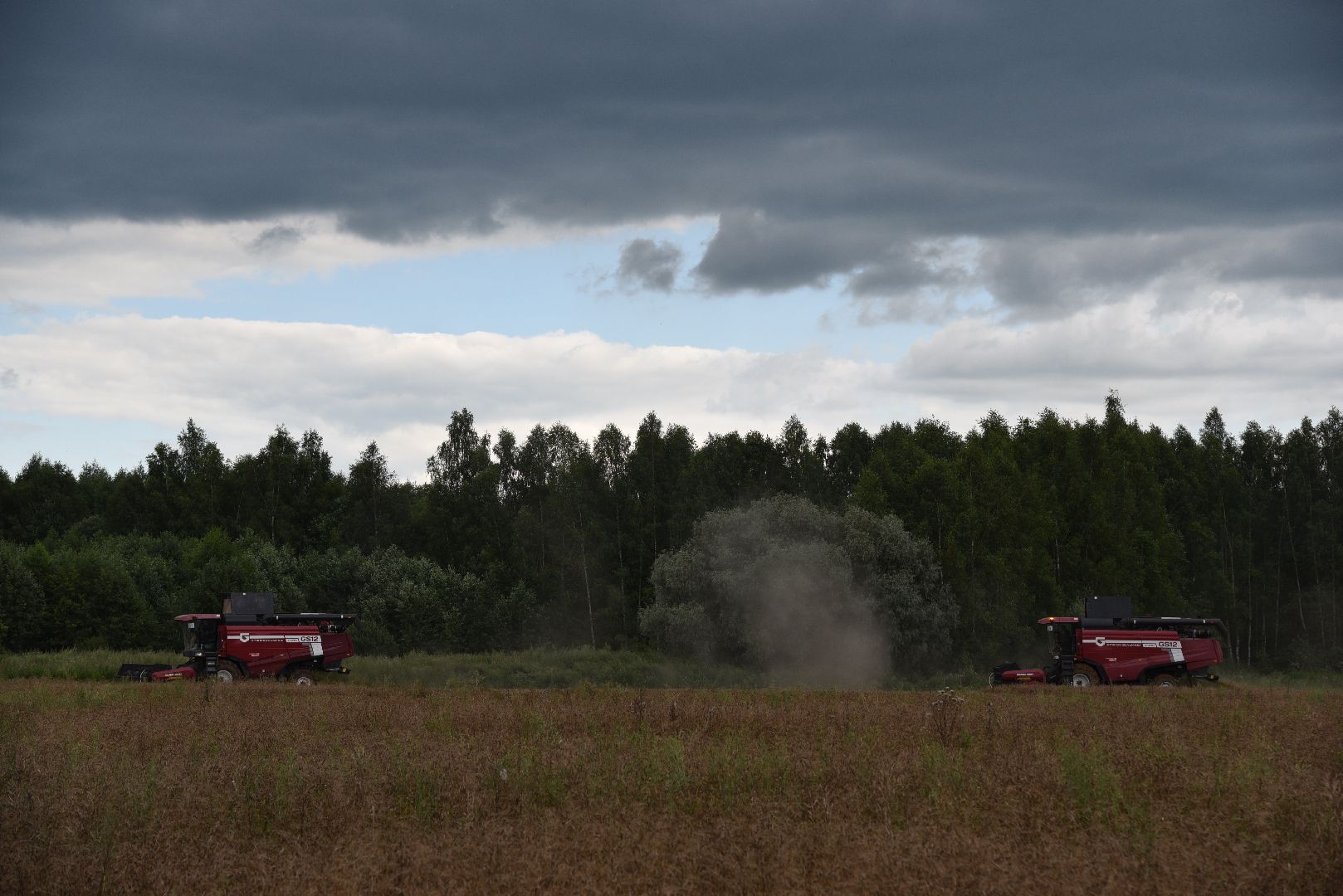 лотошино, сельское хозяйство,  уборка урожая,