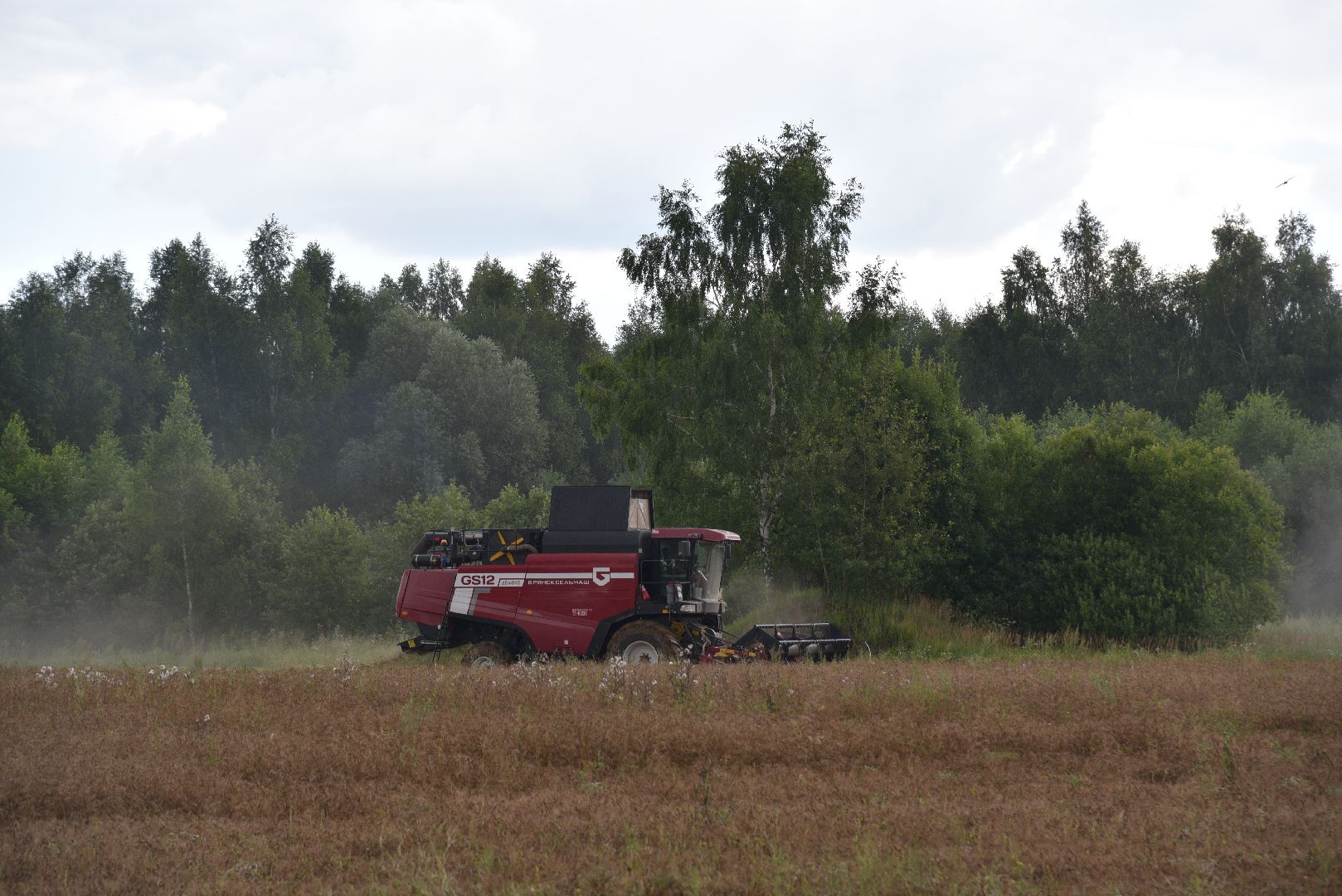 лотошино, сельское хозяйство,  уборка урожая,