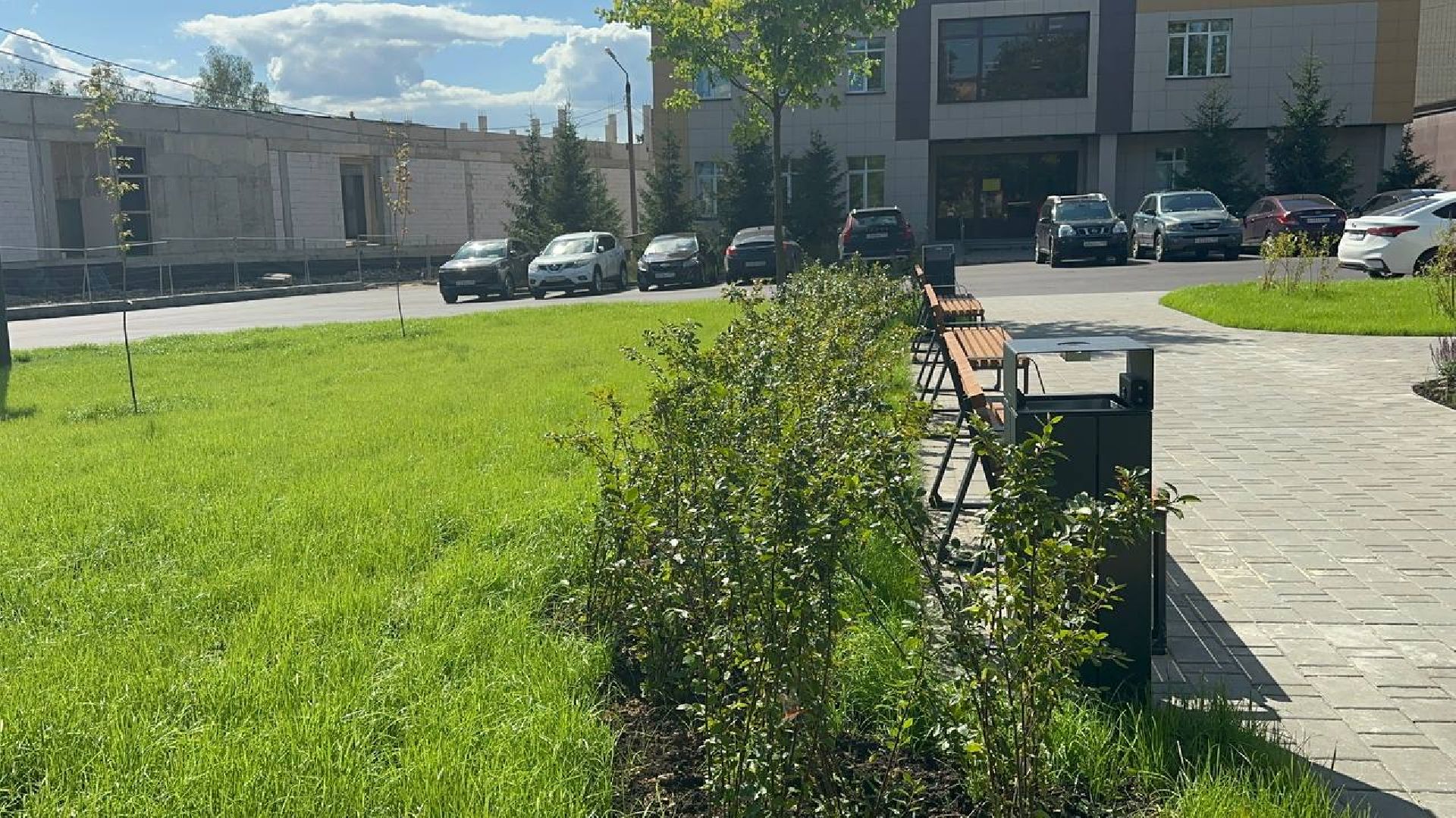 сквер, колледж, домодедово,