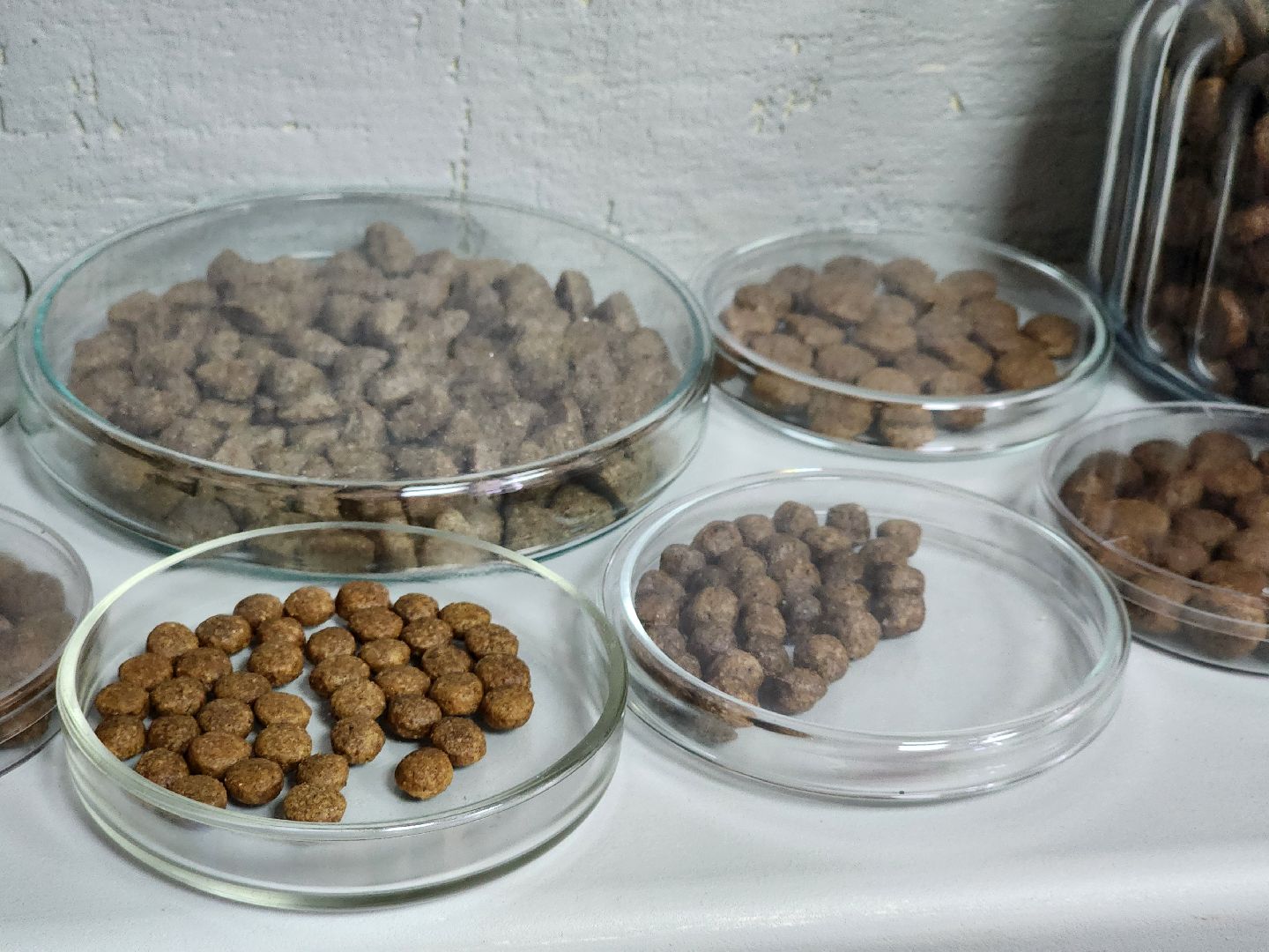 сергиев посад, сергиево-посадский городской округ, корма для животных, Берита, Цех по производству кормов, Корм для собак, корм для кошек, флости, тураково,