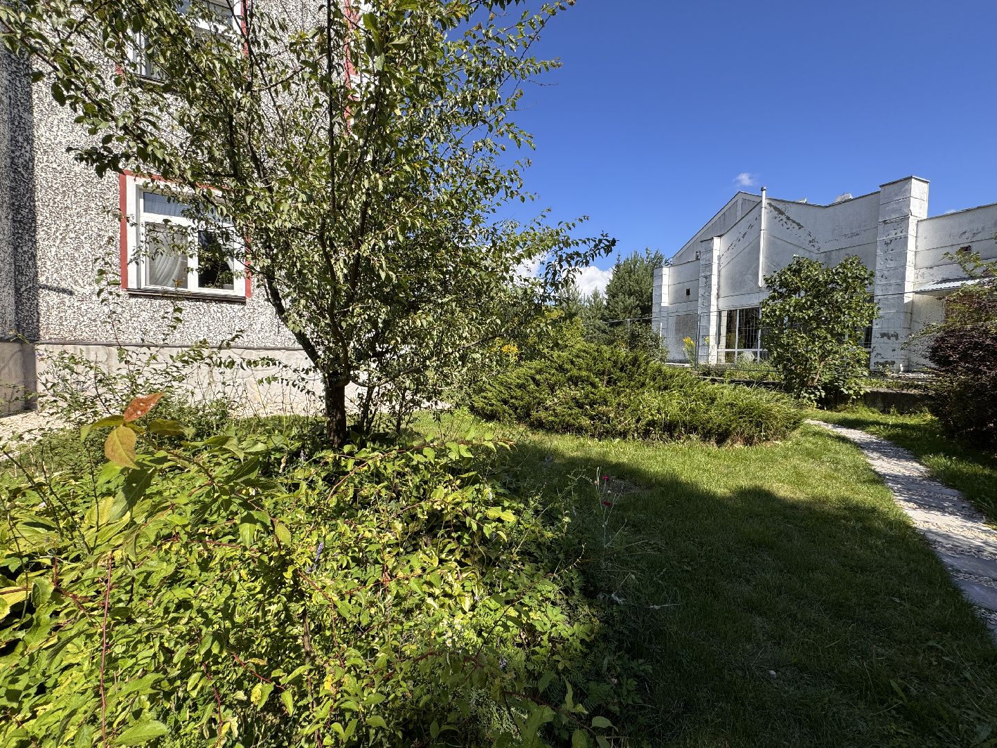 Первооткрыватели, Инклюзивный центр, Одинцово,