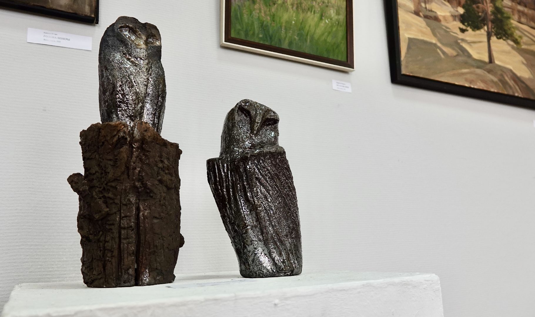 культура , выставка , сергиево-посадский городской округ, сергиев посад, дом художника , художники , молодые художники ,