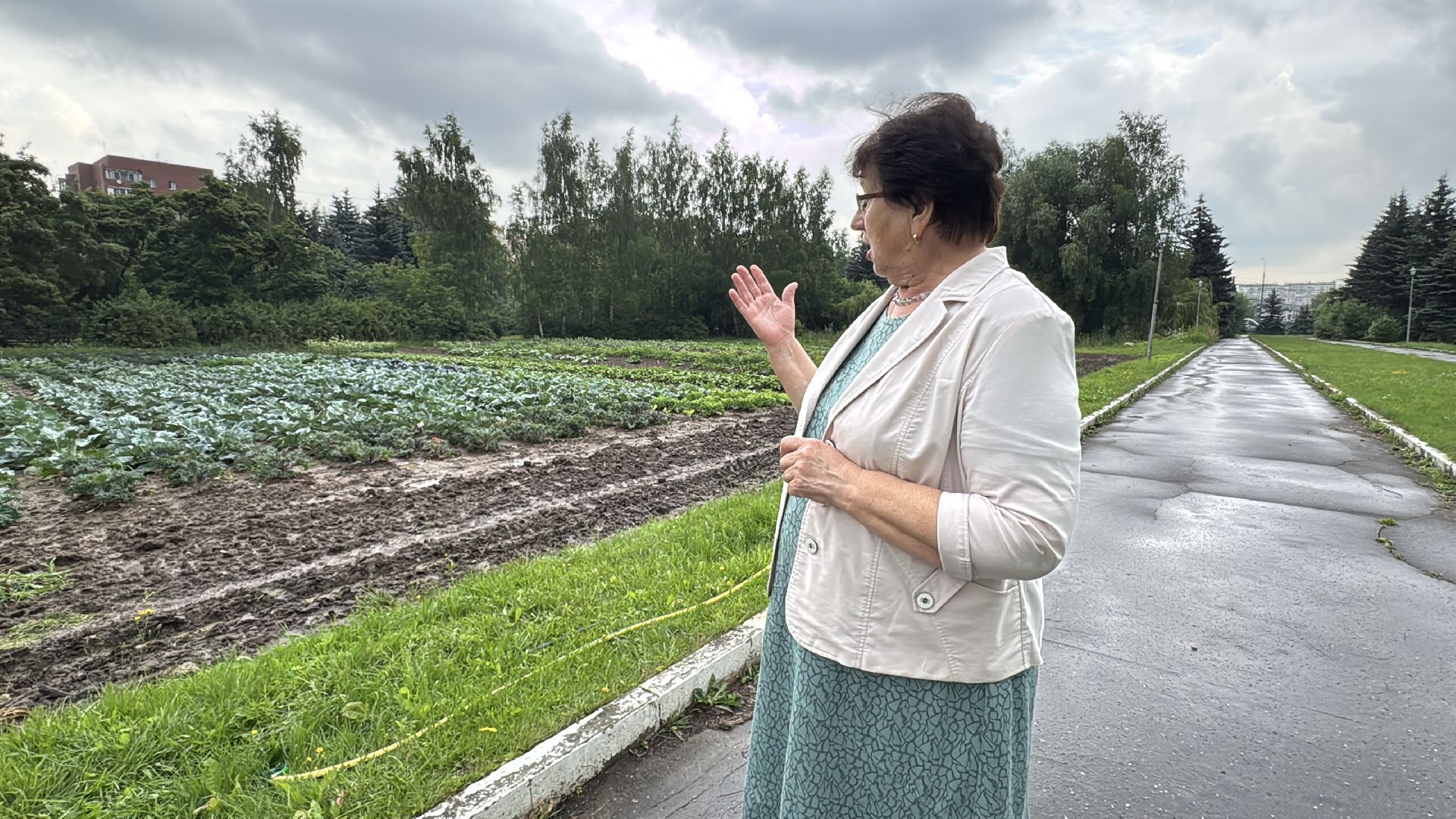 Федеральный научный центр овощеводства, Новые сорта и гибриды, декоративная капуста, Одинцово,