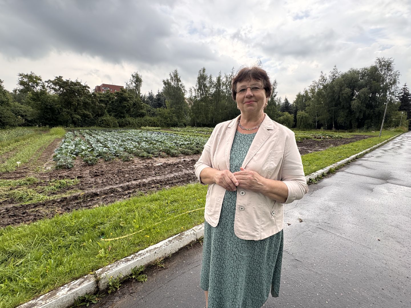 Федеральный научный центр овощеводства, Новые сорта и гибриды, декоративная капуста, Одинцово,