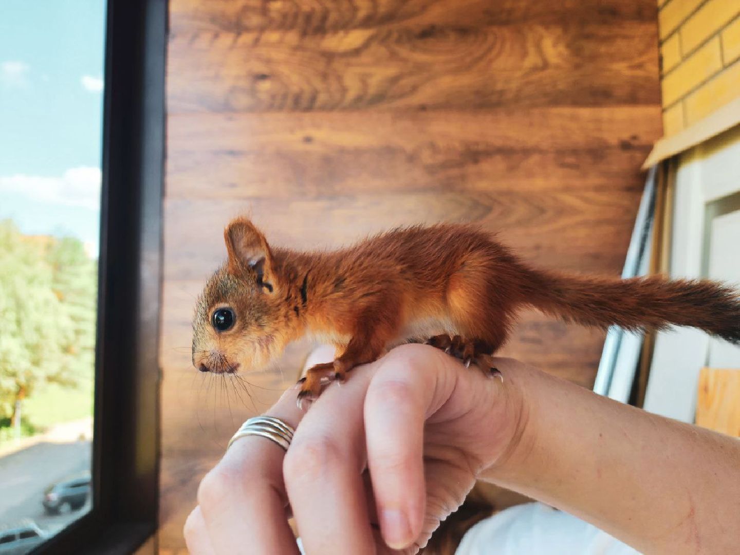 Пущино , серпухов, белки, люди,