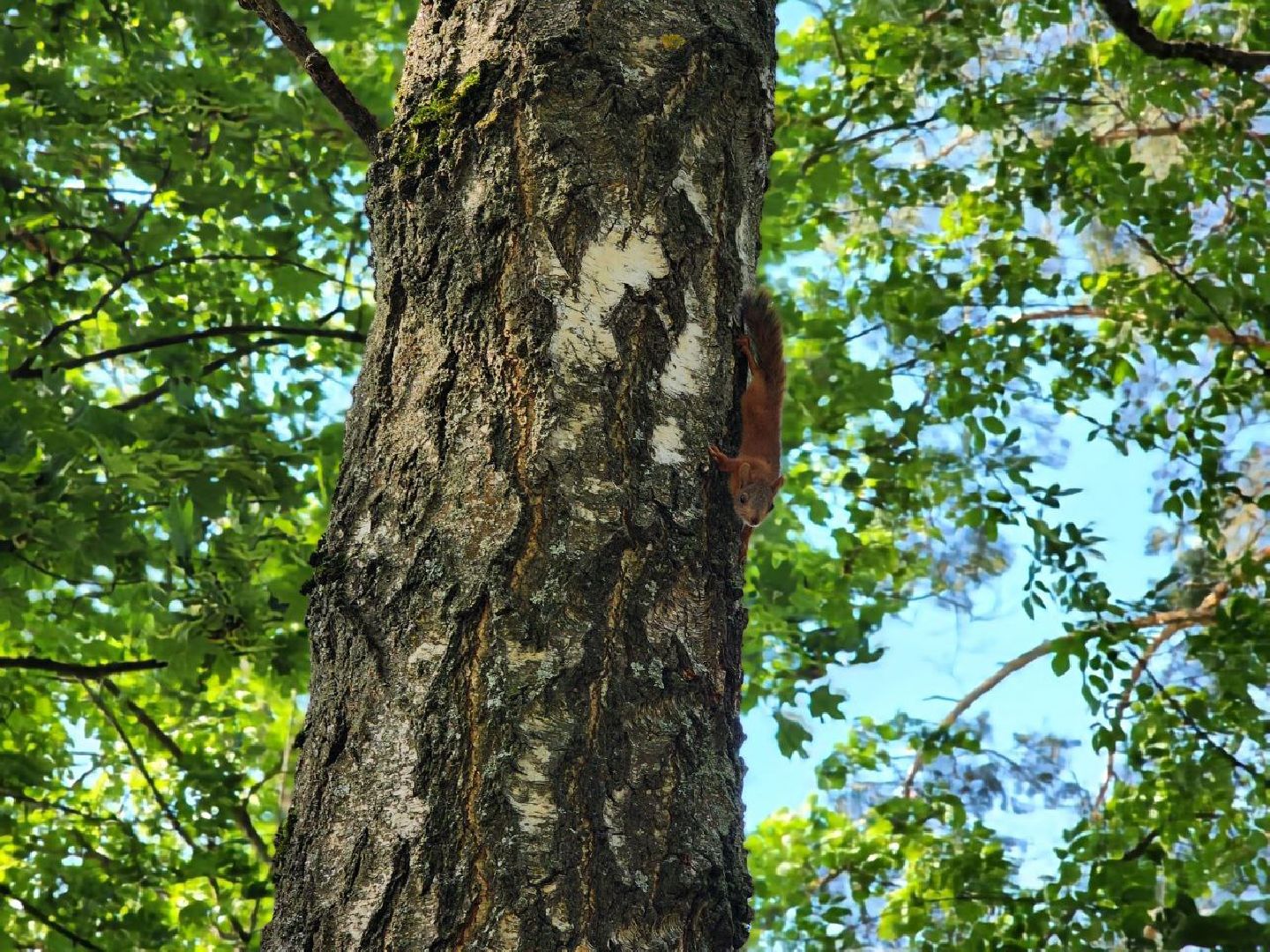 Пущино , серпухов, белки, люди,