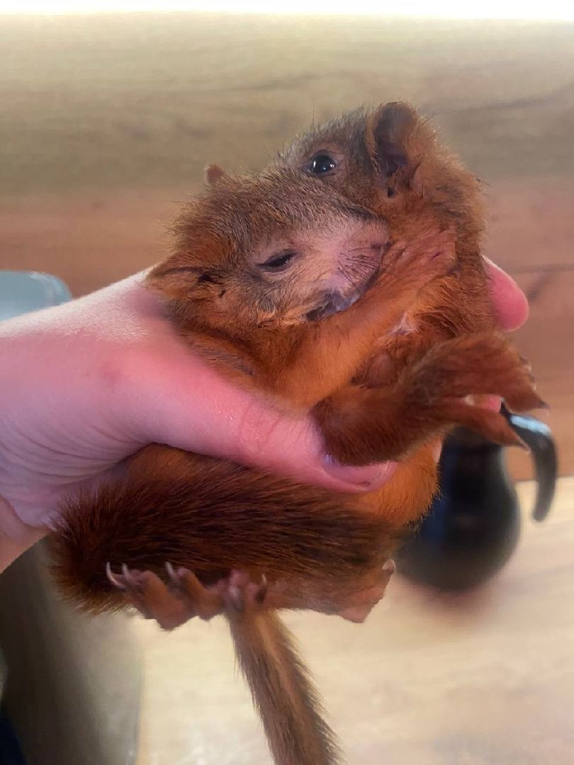 Пущино , серпухов, белки, люди,